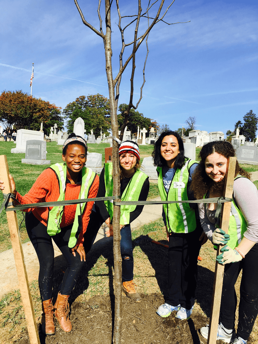 TREE PLANTING.png