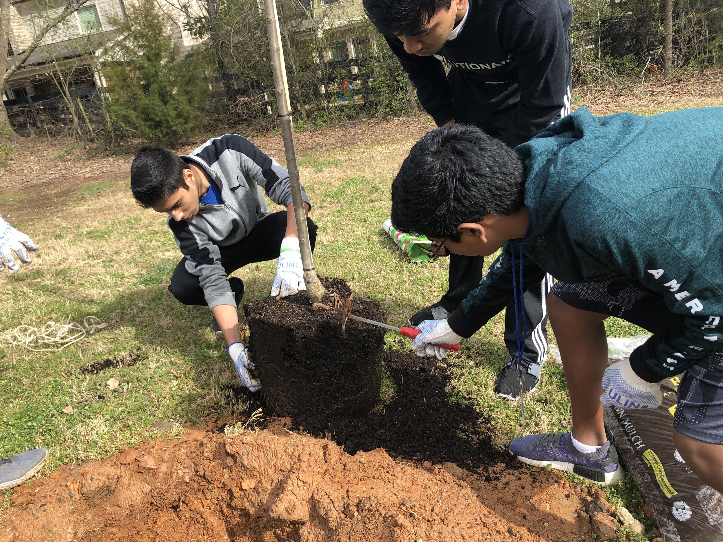 6D149DDB-30DA-4D7B-A3BC-A38FD3C92A2F (1).jpeg