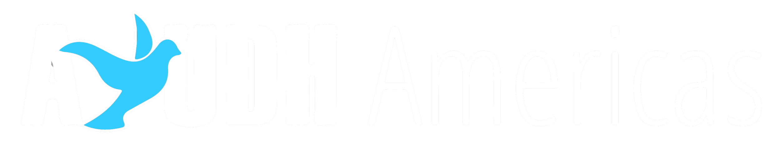 Ayudh_Americas_logo_NEW_whit.png