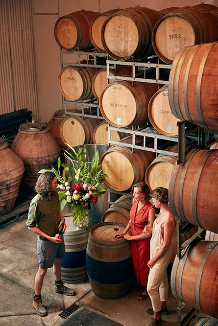 Wine Tasting in Quealy Wines' Barrel Room