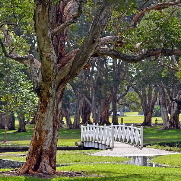 Family Mystery Picnic Centennial Park — AmazingCo Australia