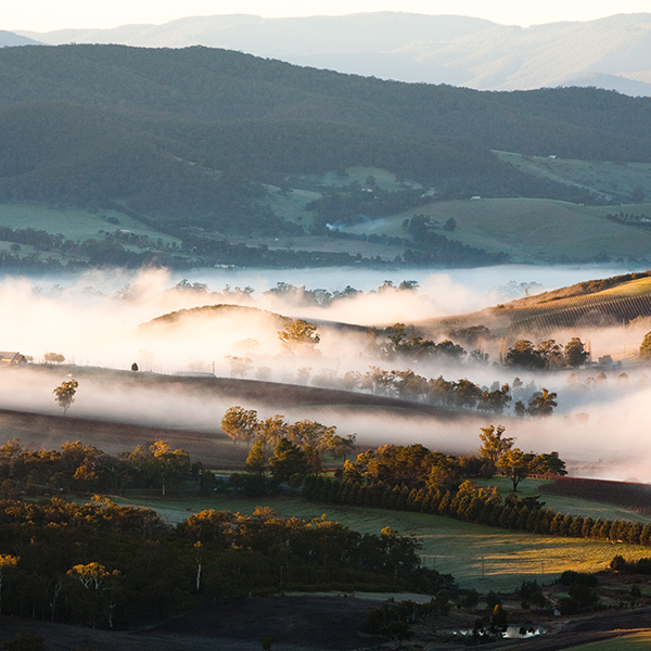 Mystery Picnic - Yarra Valley.png