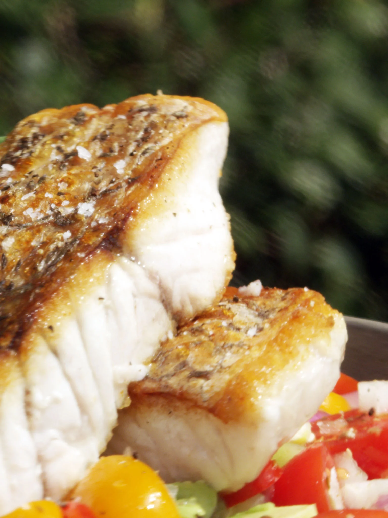 2-153-Crispy-Skin-Barramundi-web.jpg