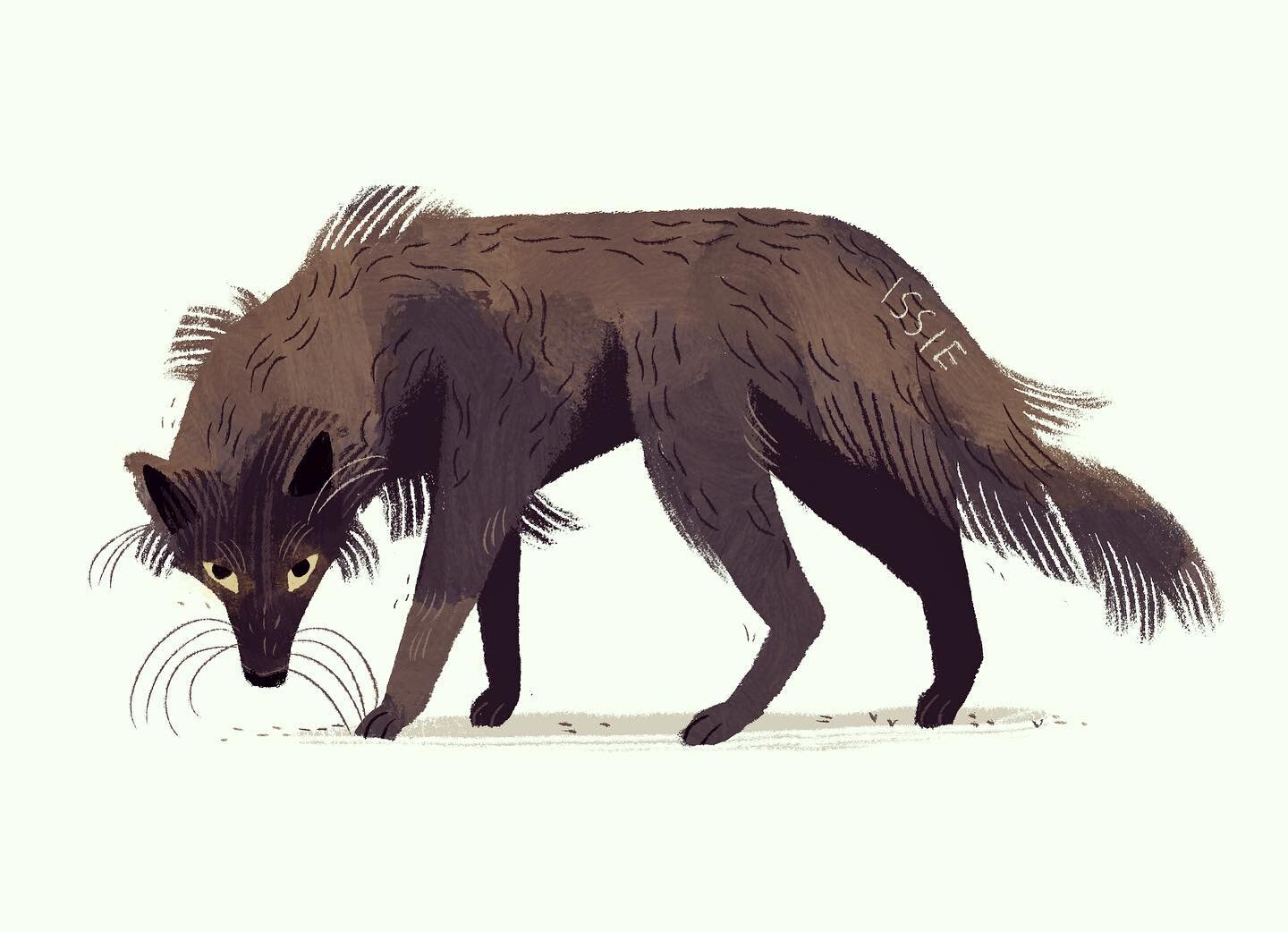 Putting all effort in to Mochi and book work right now, and there&rsquo;s little energy left for anything else. 

I&rsquo;ll be right back, and until then, here&rsquo;s a howling one. 🖤

#blackwolf #illustration #drawing