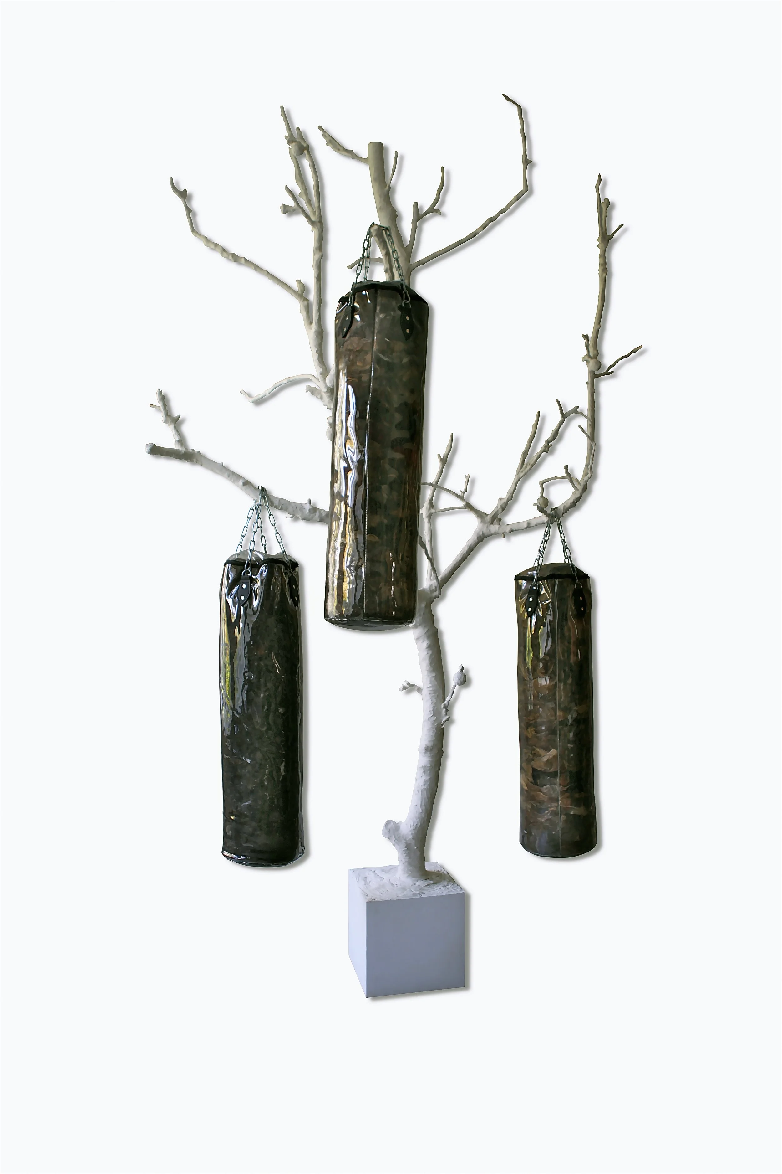 tree.jpg