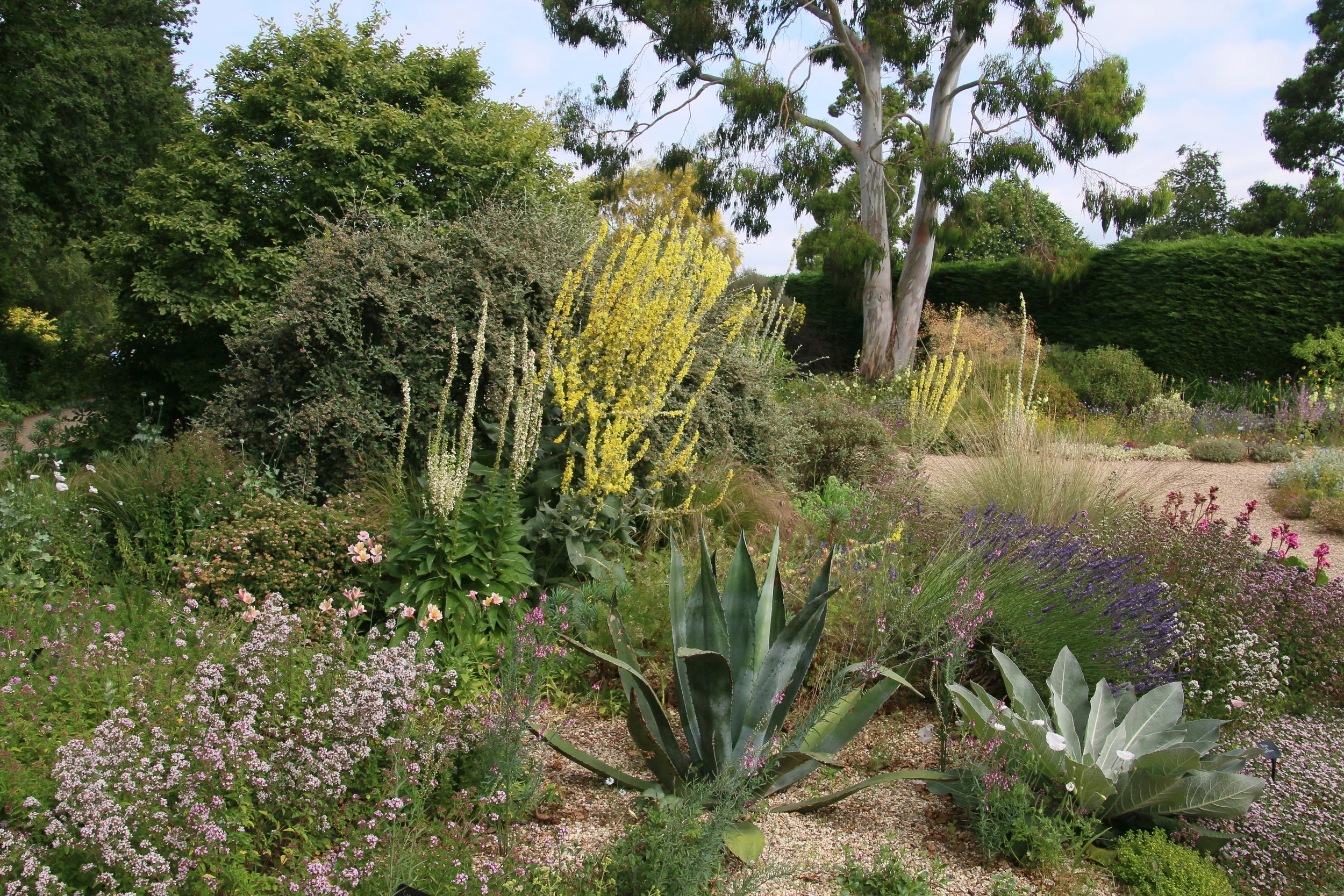 Beth Chatto Garden.JPG