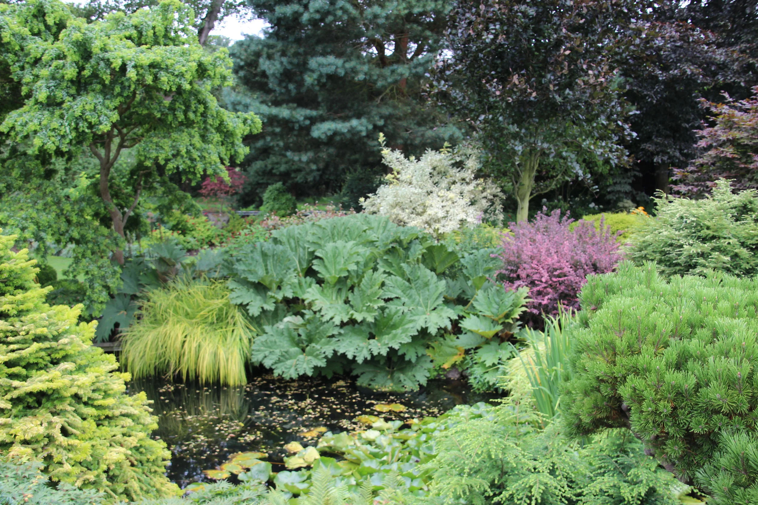 John Massey's Garden at Ashwood Nurseries