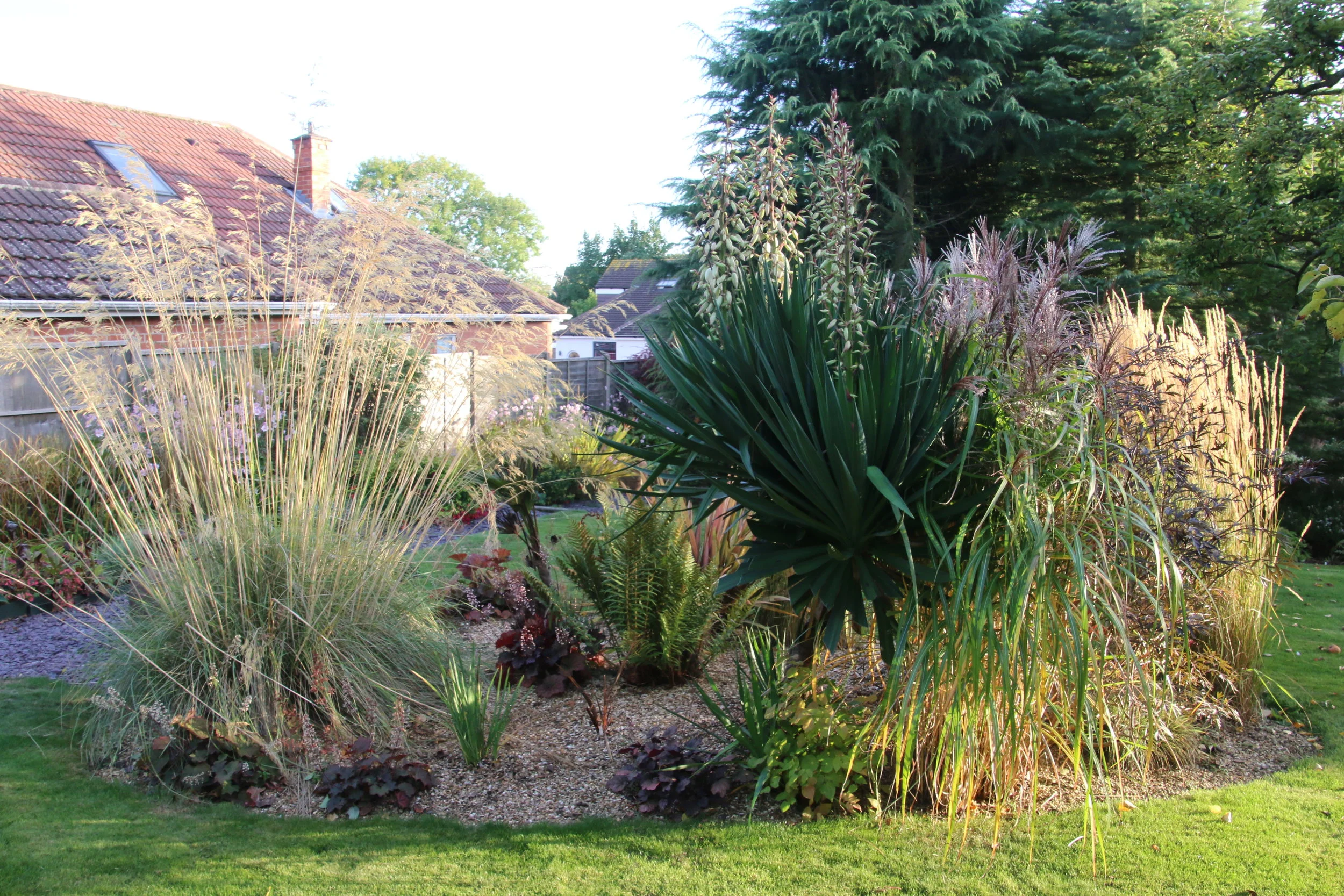 Miscanthus grasses &amp; Yucca gloriosa