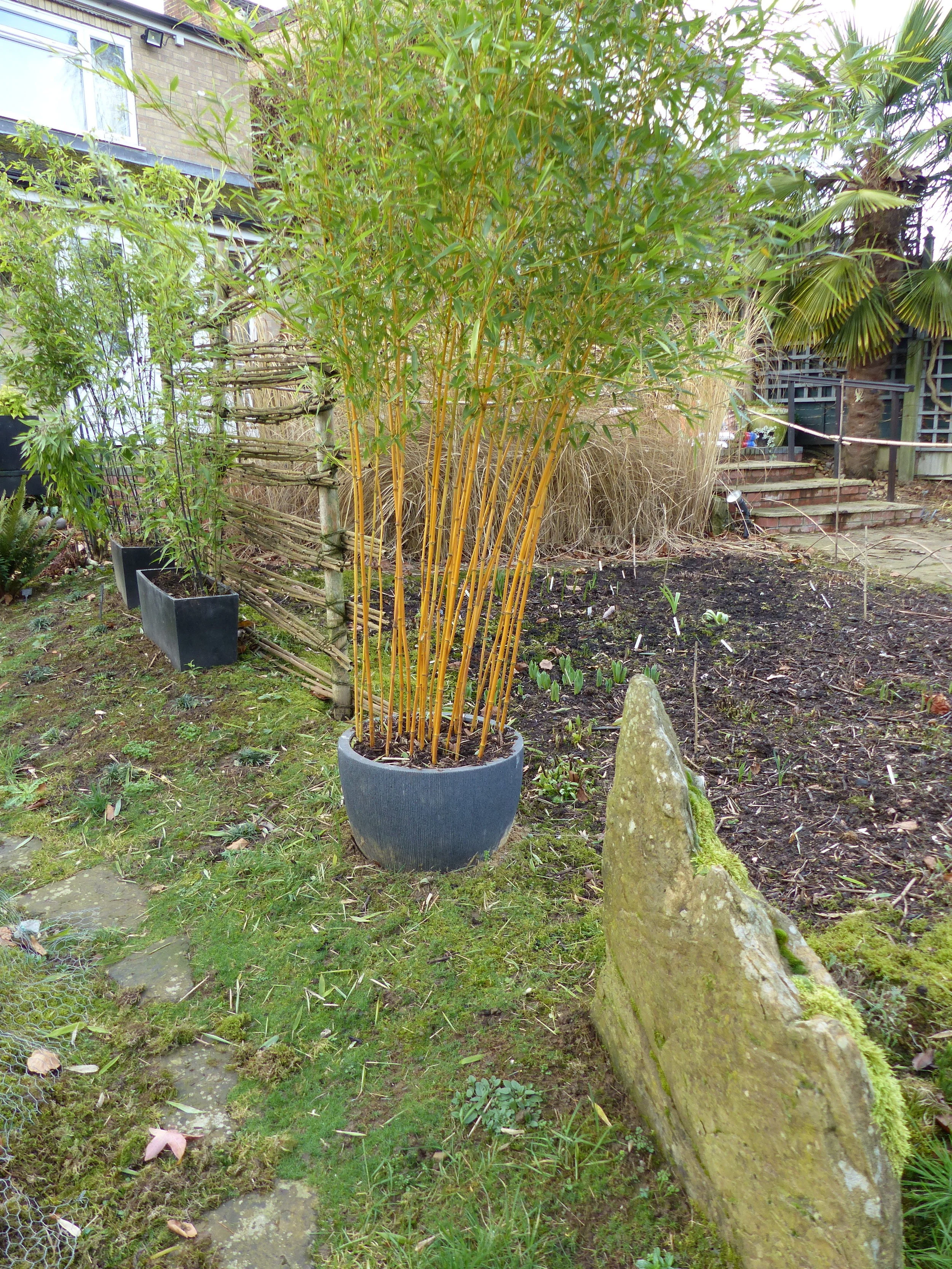 P1000027.JPG