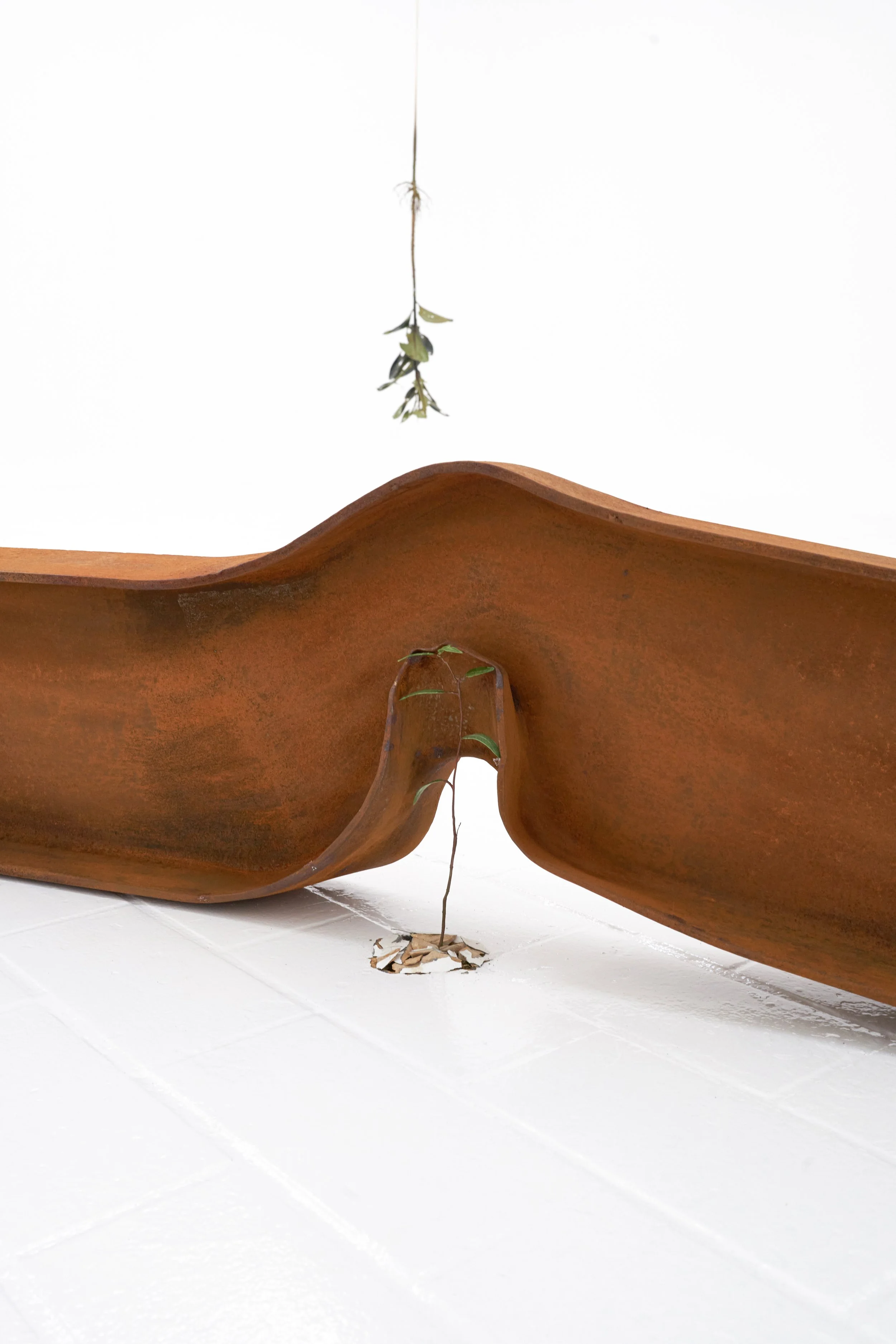 JASON WATERHOUSE_Slump_A7.JPEG