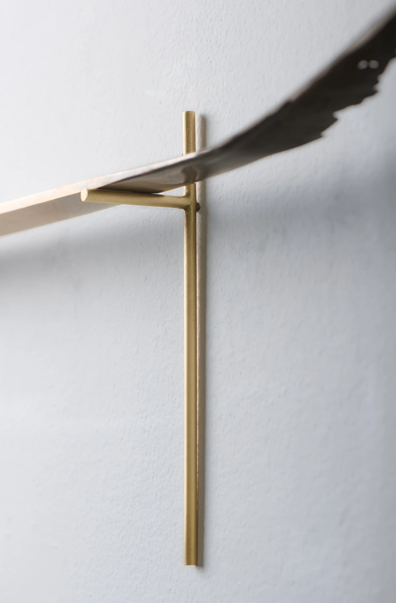   Charred ficus elastica , 2025 (detail) bronze, brass 25 × 51 × 8 cm 