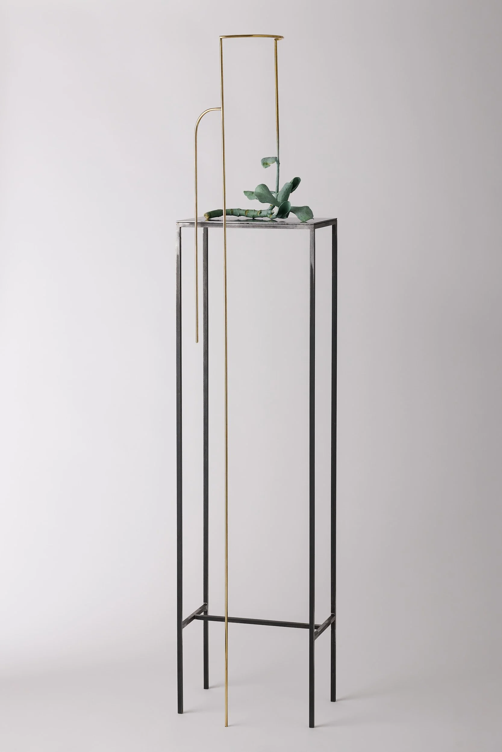   Grounded cotyledon , 2025 bronze, brass, mild steel, acrylic paint 151 × 32 × 25 cm 