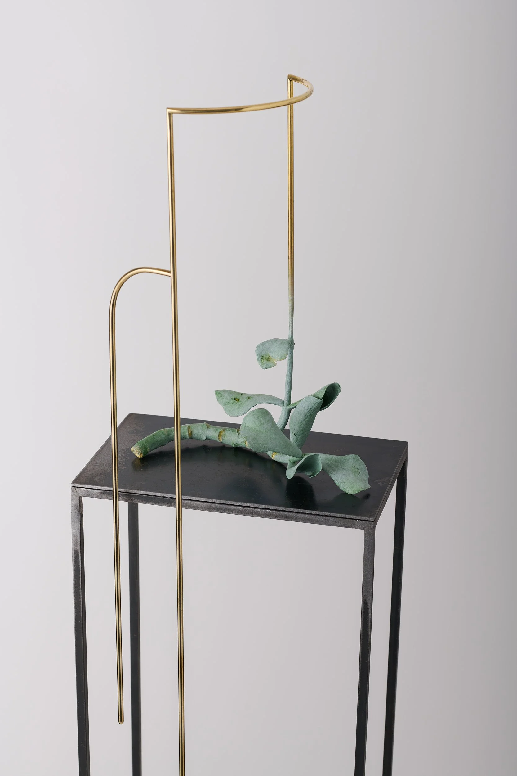   Grounded cotyledon , 2025 bronze, brass, mild steel, acrylic paint 151 × 32 × 25 cm 