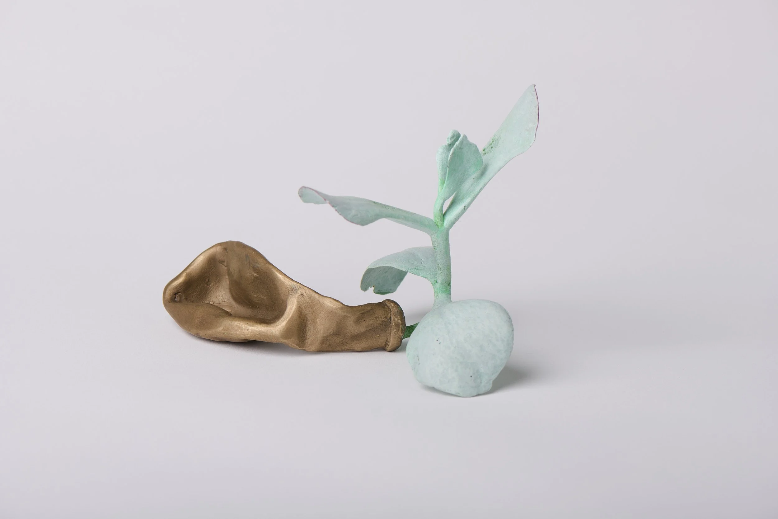   Inflated cotyledon , 2025 bronze, acrylic paint 12 × 20 × 10 cm 