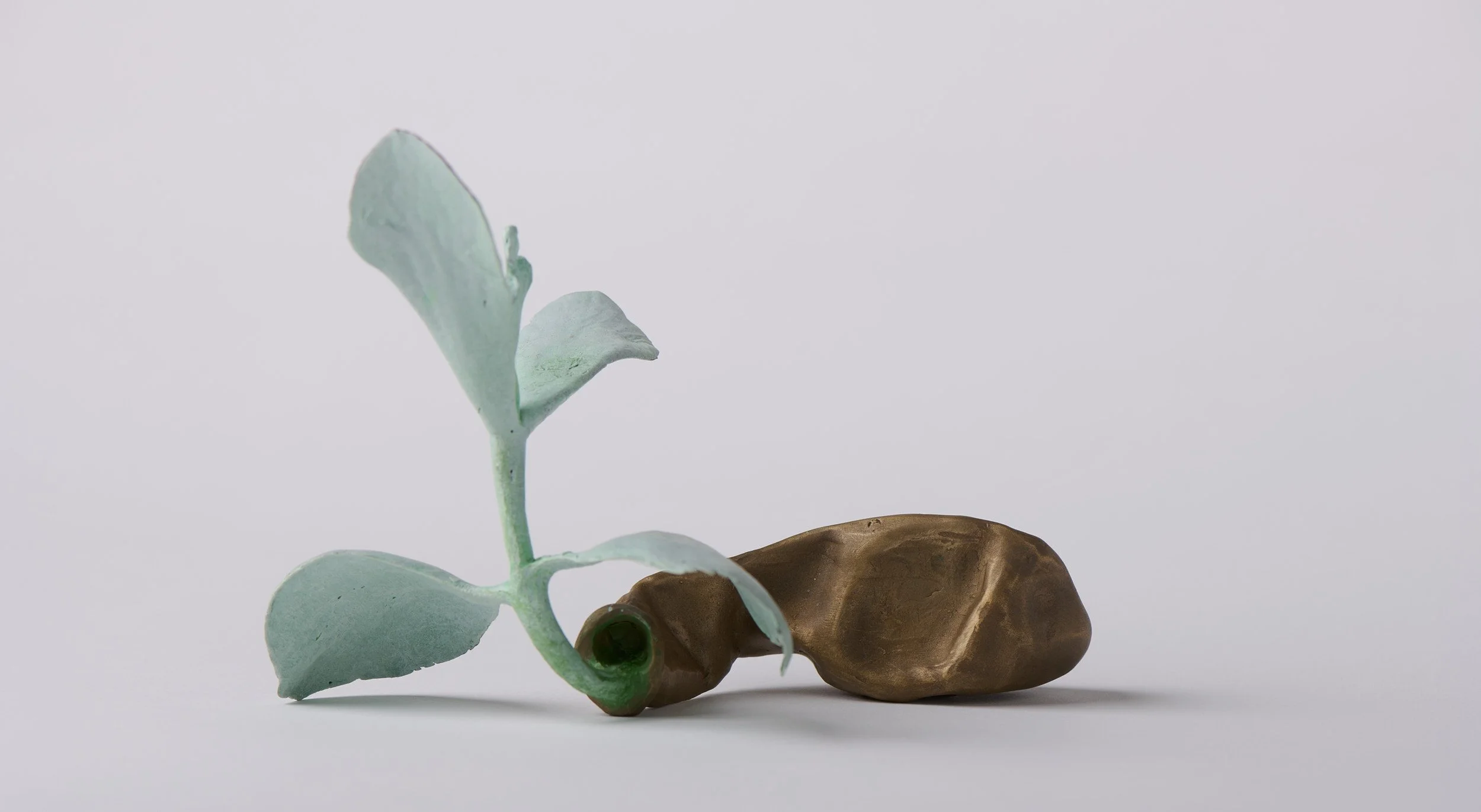   Inflated cotyledon , 2025 bronze, acrylic paint 12 × 20 × 10 cm 