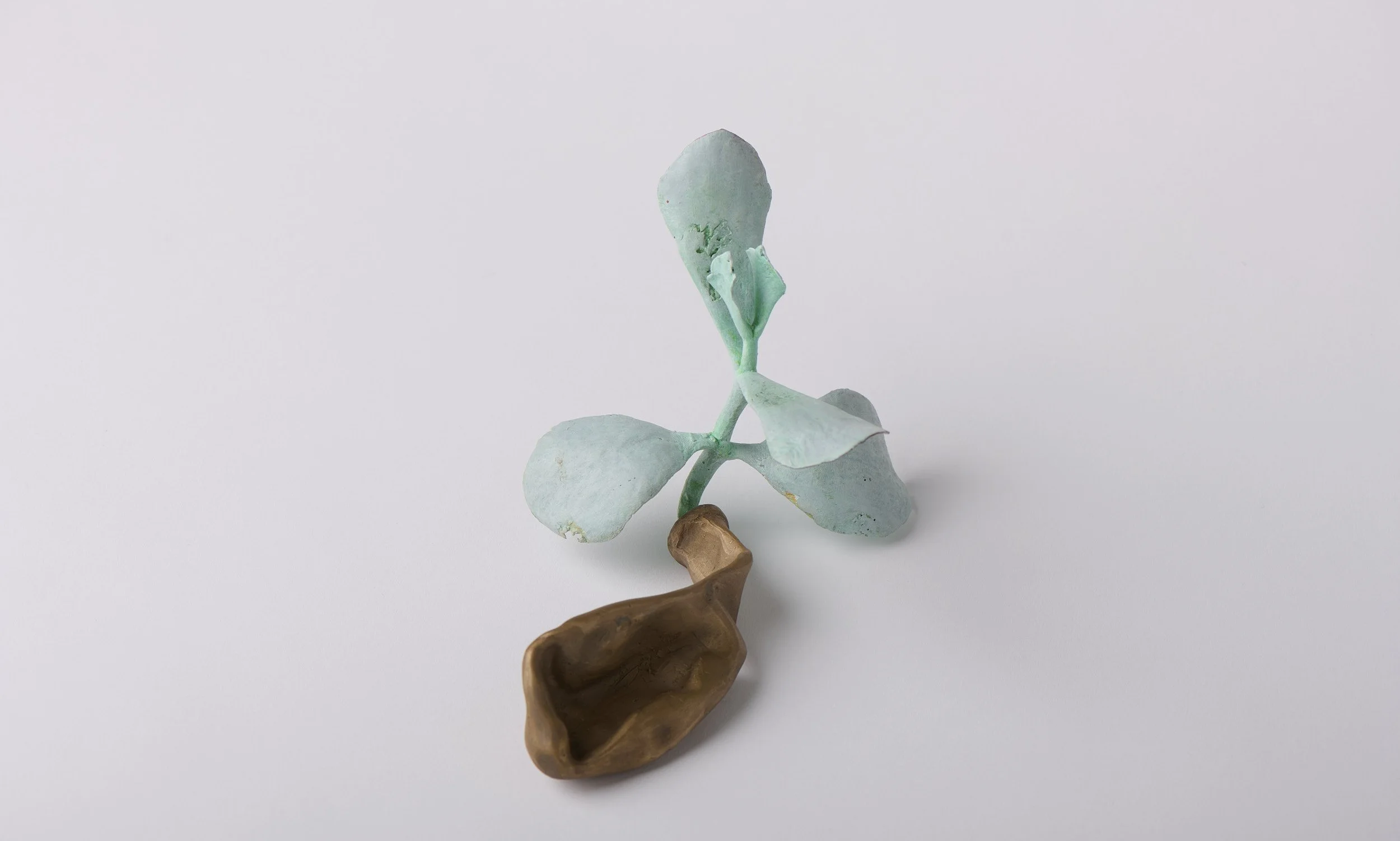   Inflated cotyledon , 2025 bronze, acrylic paint 12 × 20 × 10 cm 