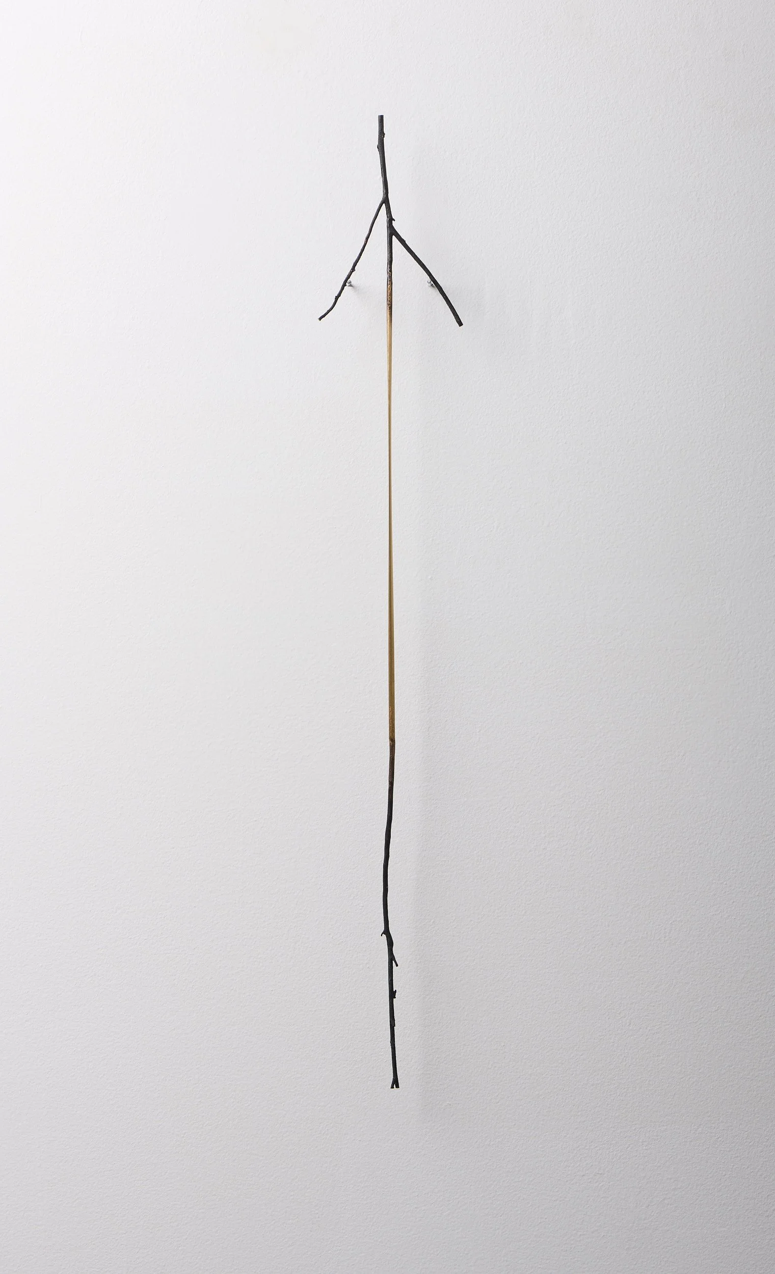   Taut branch , 2023 bronze, brass, stainless steel pins 71 × 10 × 3 cm  I this piece is available through Stockroom I   