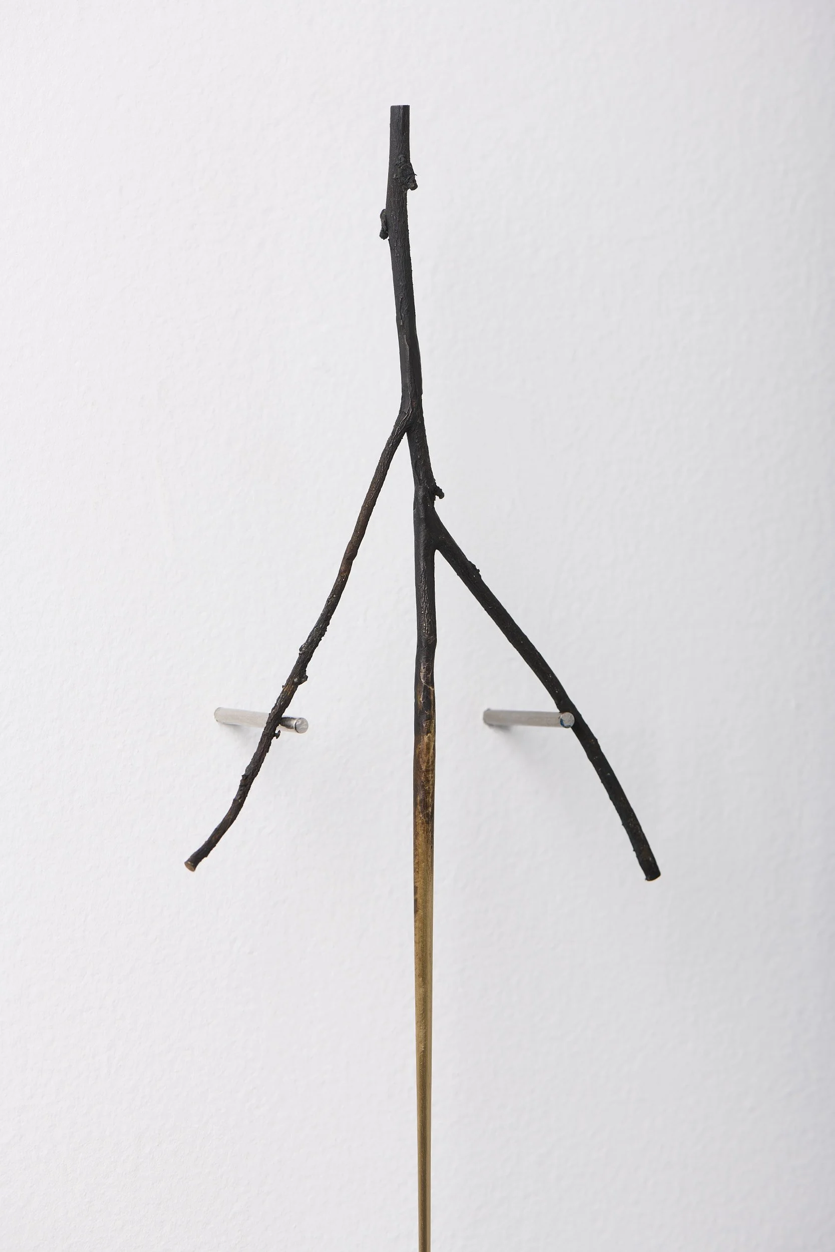   Taut branch , 2023 (detail) bronze, brass, stainless steel pins 71 × 10 × 3 cm  I this piece is available through Stockroom I   