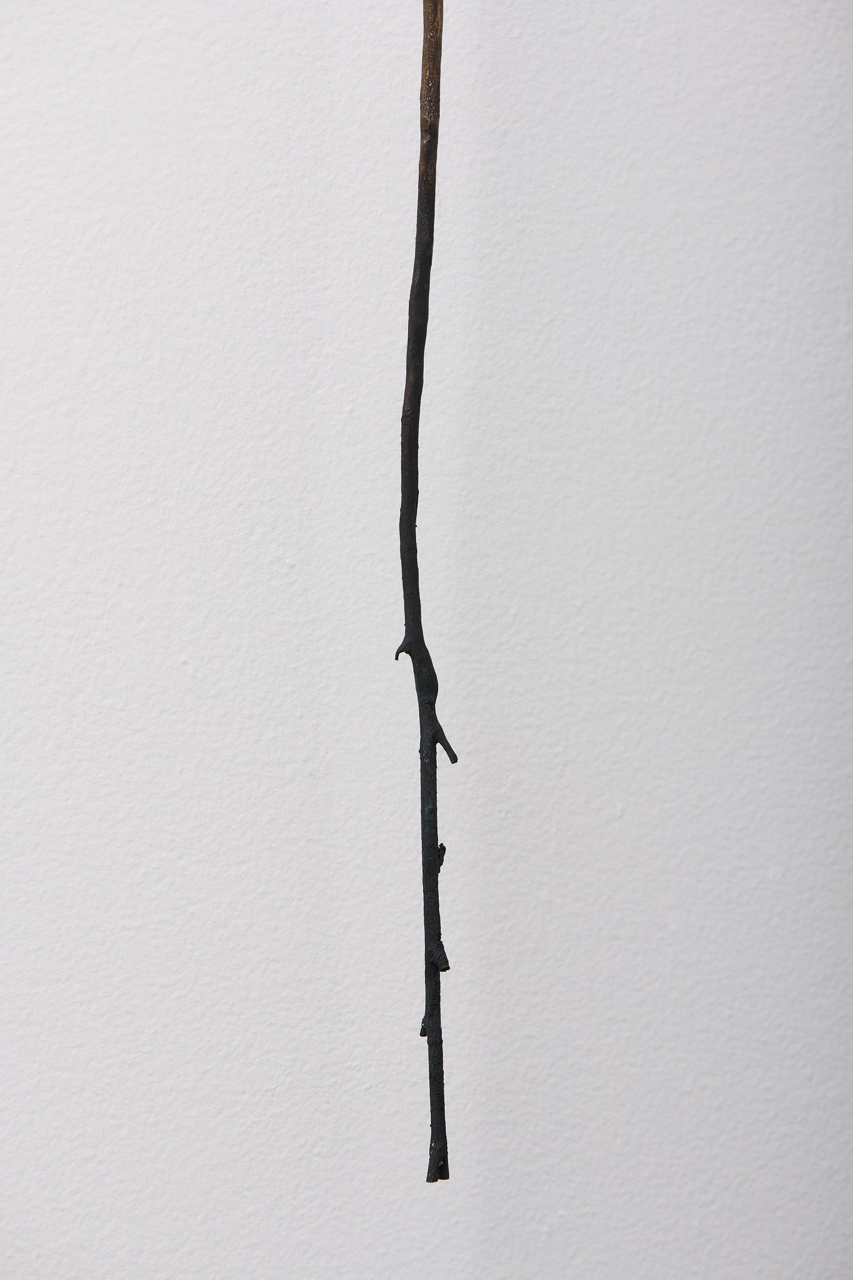   Taut branch , 2023 (detail) bronze, brass, stainless steel pins 71 × 10 × 3 cm  I this piece is available through Stockroom I   