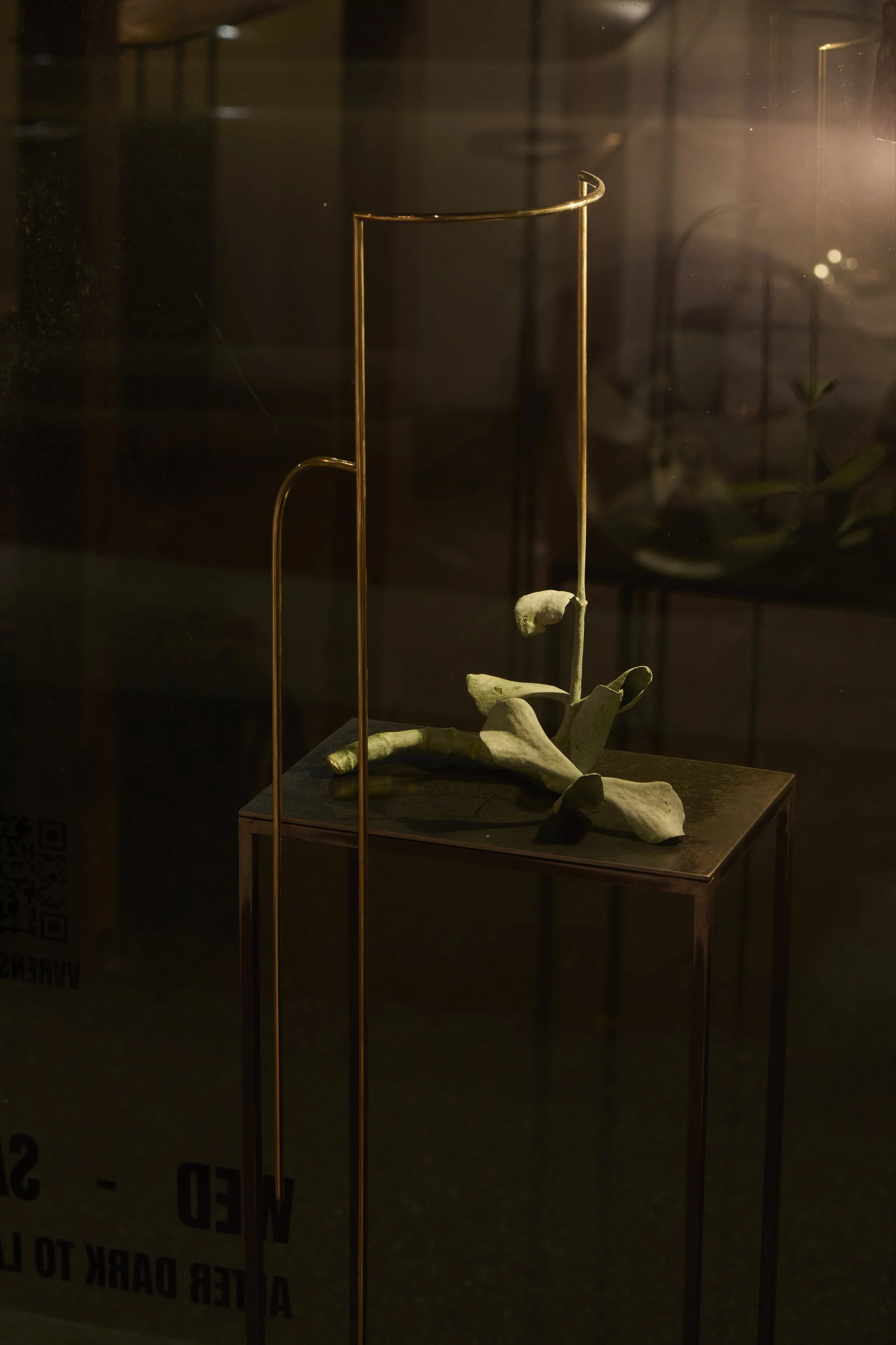   Grounded cotyledon , 2025 bronze, brass, mild steel, acrylic paint 151 × 32 × 25 cm 