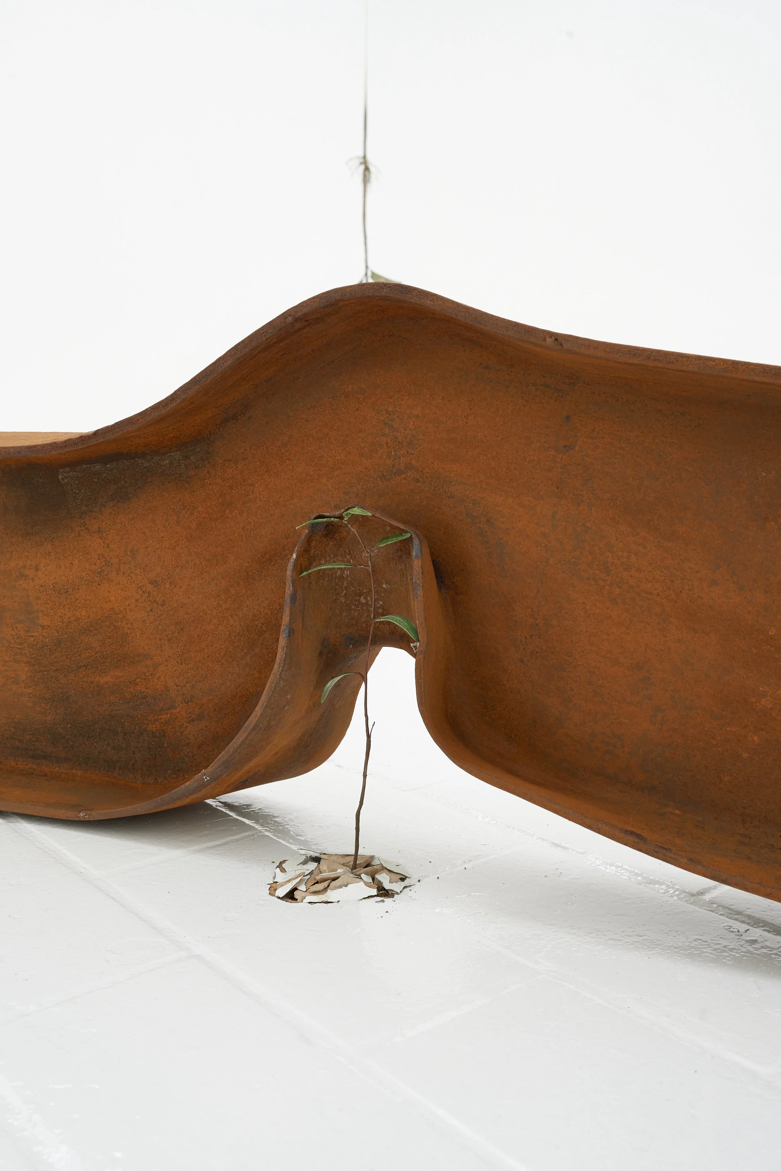   Grit , 2025 (detail) mild steel, bronze, acrylic paint 35 × 120 × 13 cm  I this piece is available through Stockroom I  