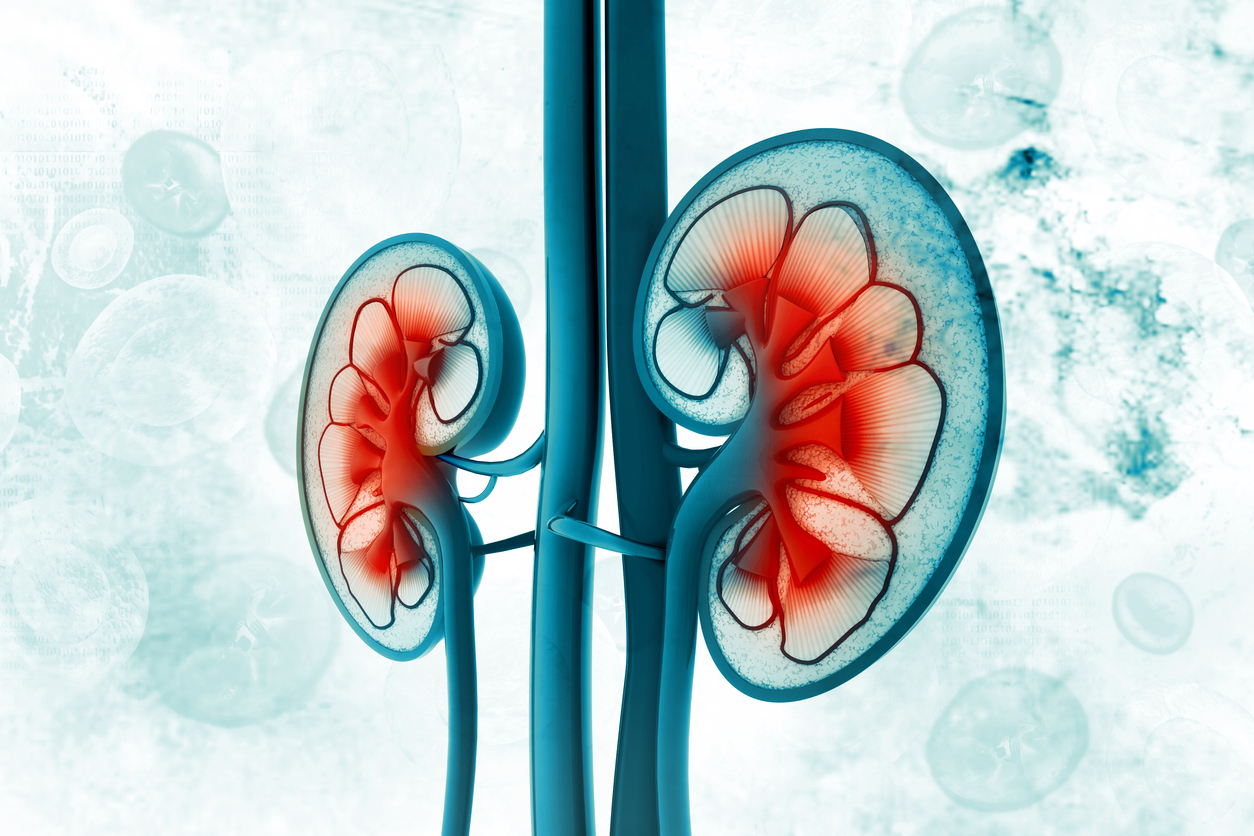 iStock-641712942.jpg