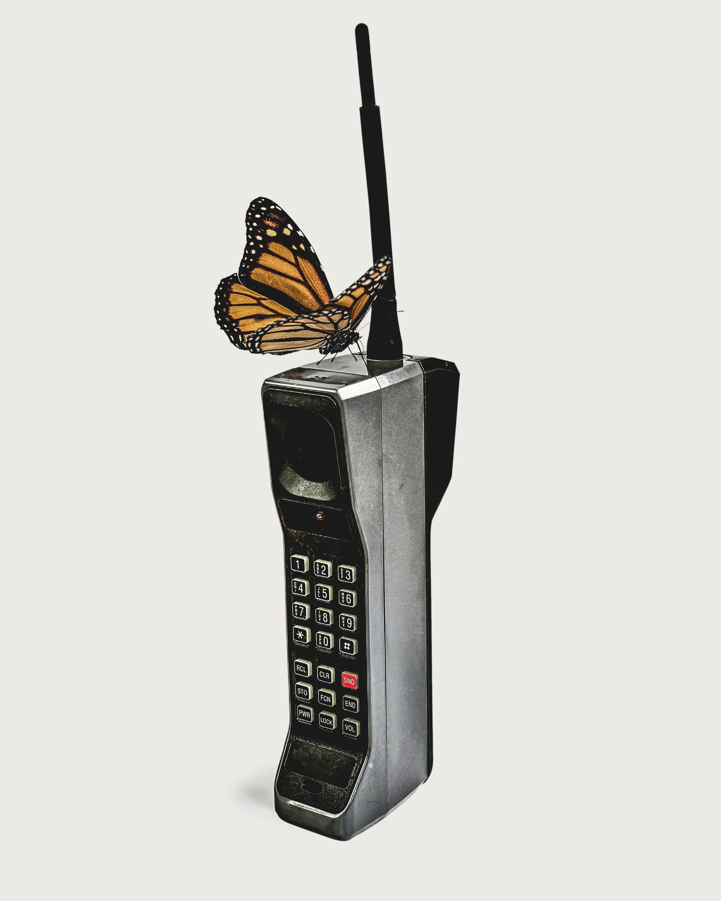 Call You Back2 16x20.jpg