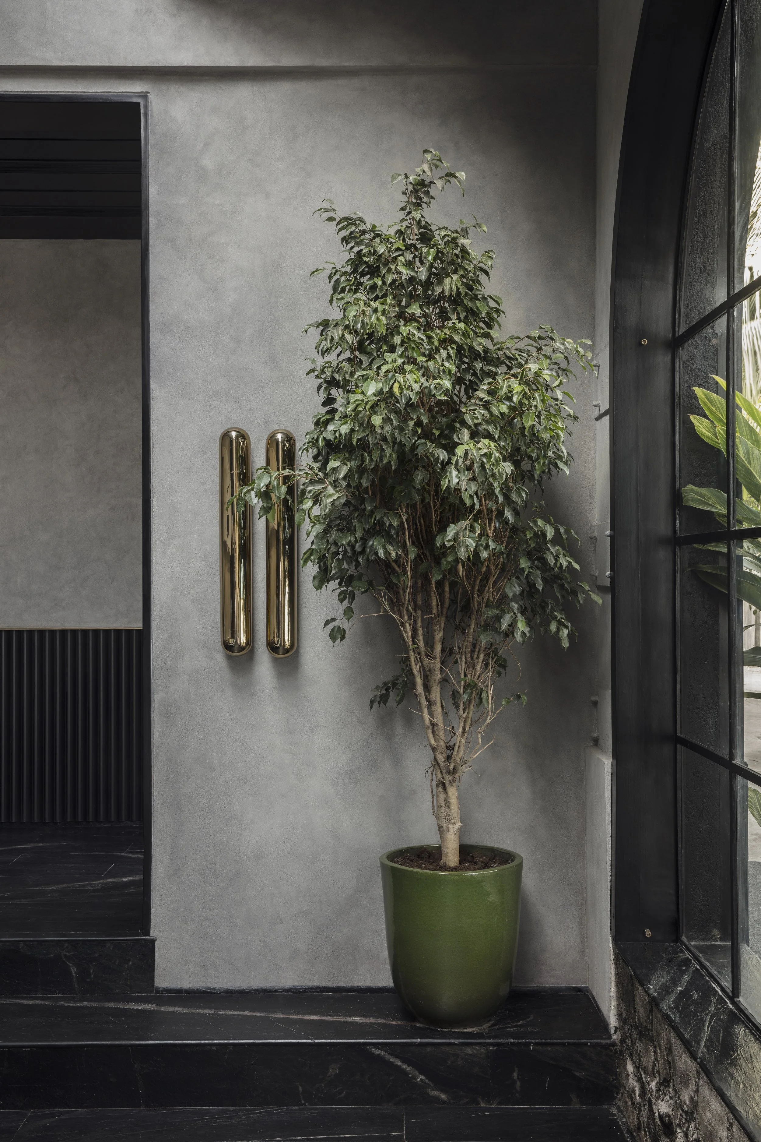 Masque Lab_Pankaj Anand_JPG (3).jpg