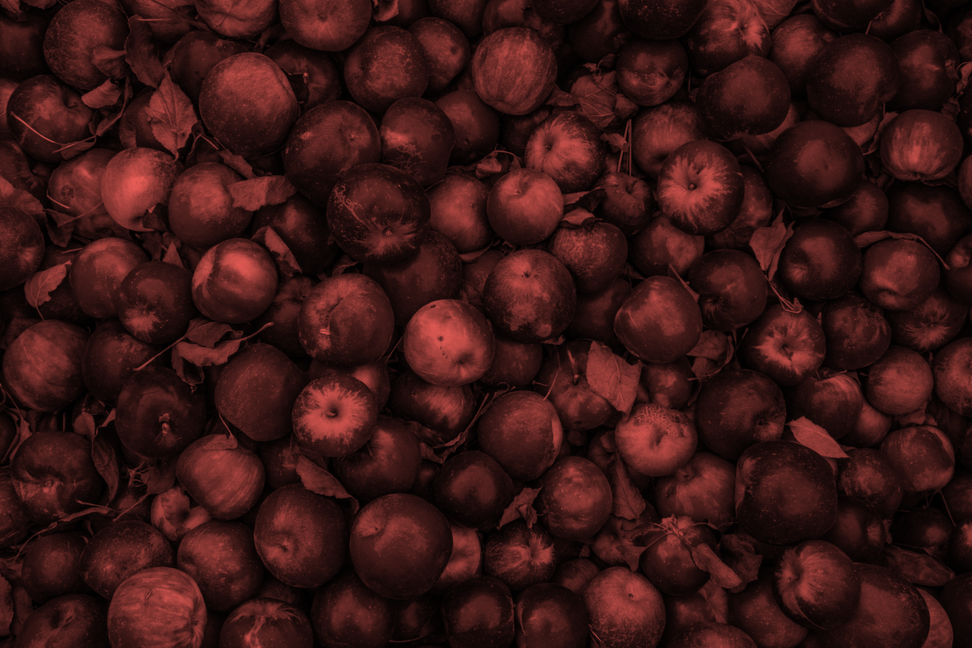 Ostro_Klorpirifos_Apples.png
