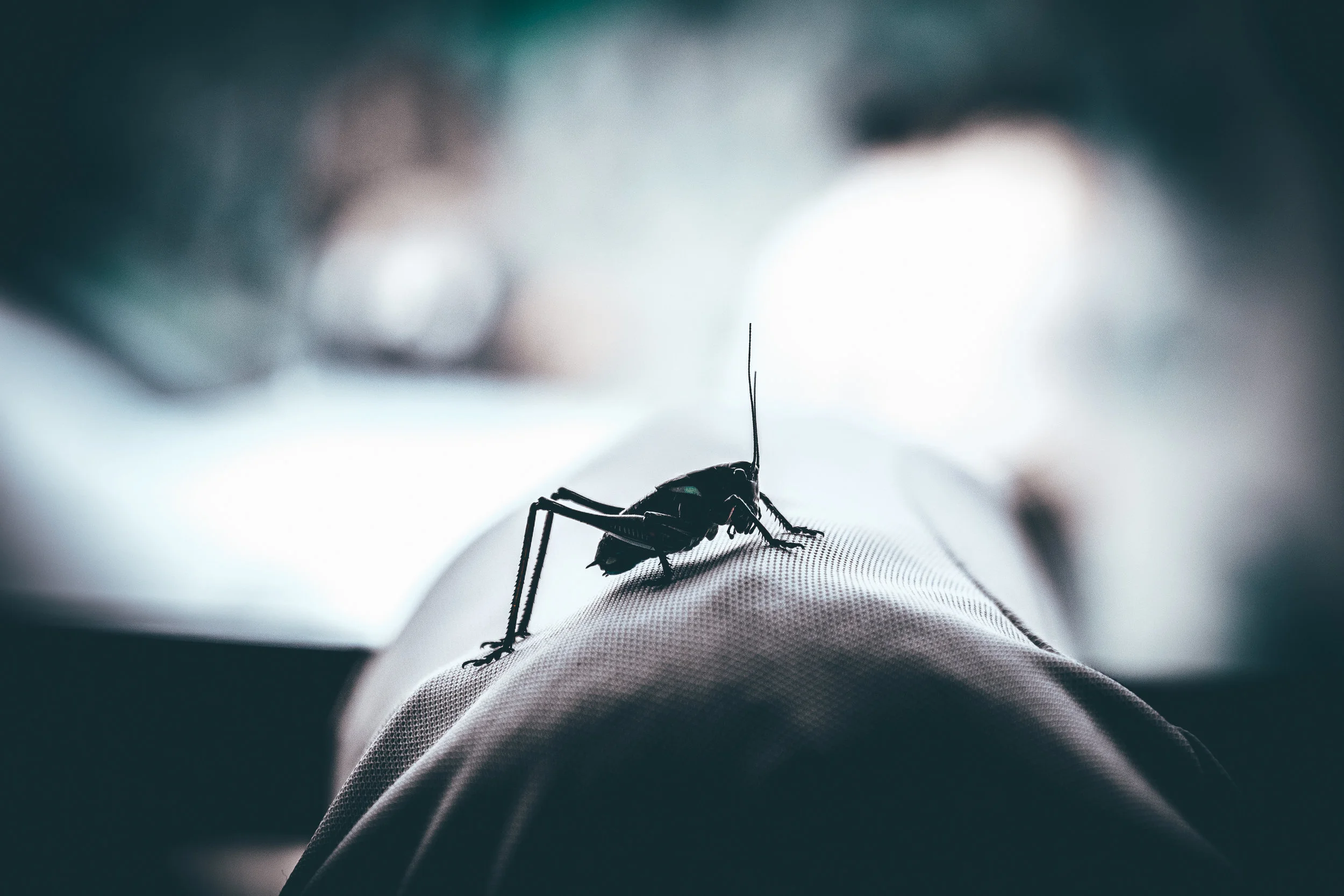 35. teden na Razkrinkavanju