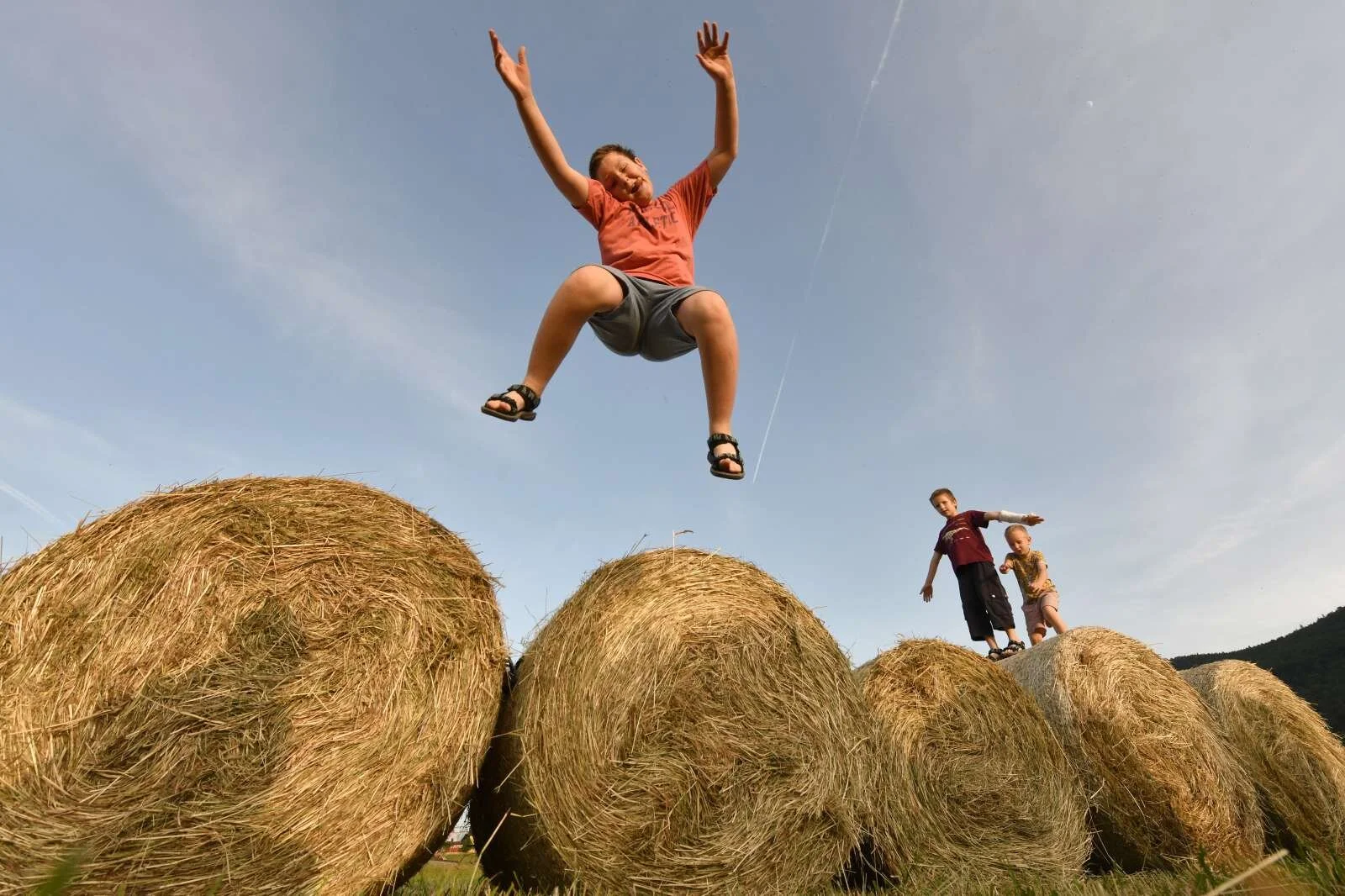  Foto: Tamino Petelinšek/STA 