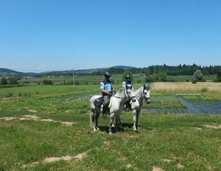  Tudi v letih, ko je Slovenijo prečkalo največ beguncev in migrantov, se je število kaznivih dejanj v primerjavi s prejšnjimi leti zmanjšalo za okrog 19.000. Foto: STA/PU Novo mesto 