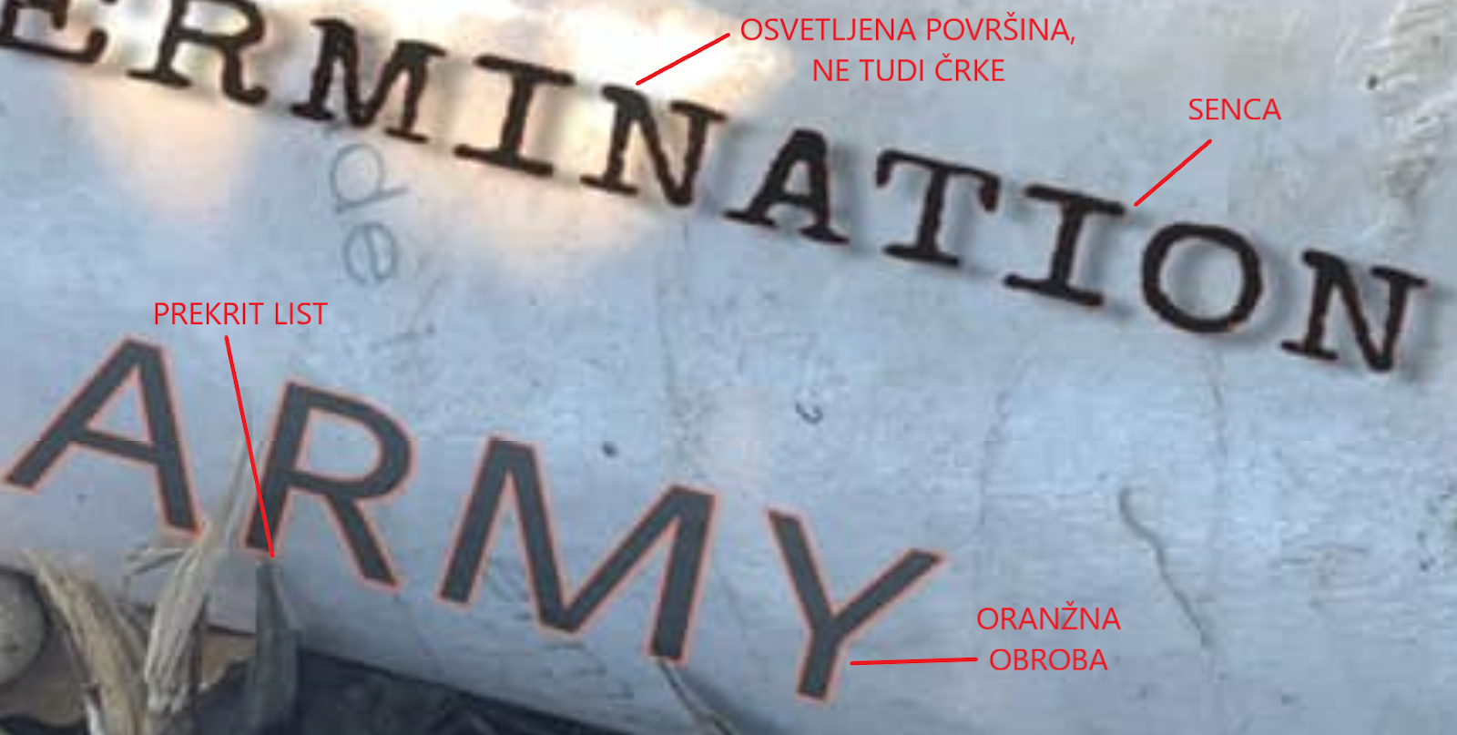  Slika 1: Da je to fotomontaža, dokazujejo nepravilno senčenje, osvetlitev in besedilo, ki prekriva liste ob kapsuli. 