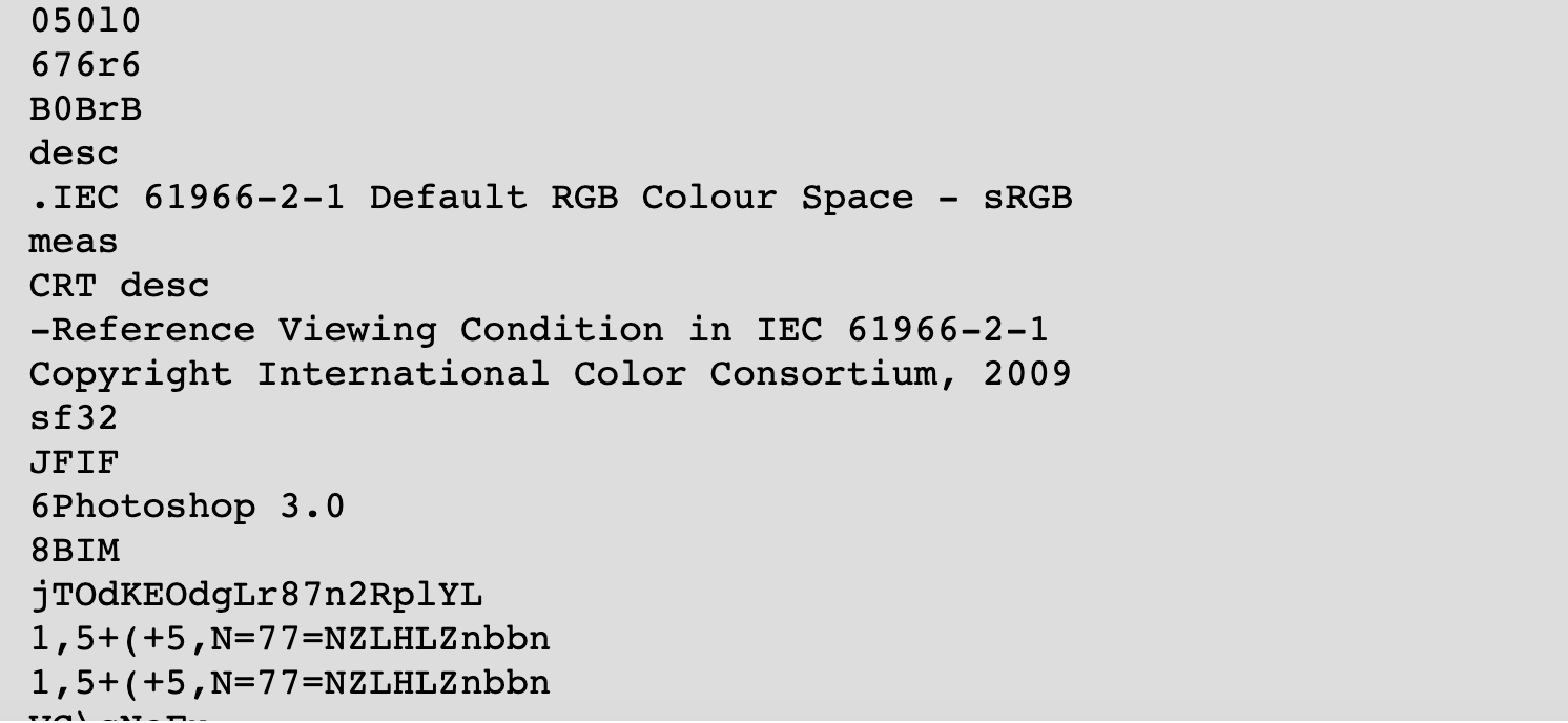  Del izpisa lastnosti fotografije. Med njimi je tudi podatek o spremembi fotografije z orodjem za urejanje fotografij Photoshop. 