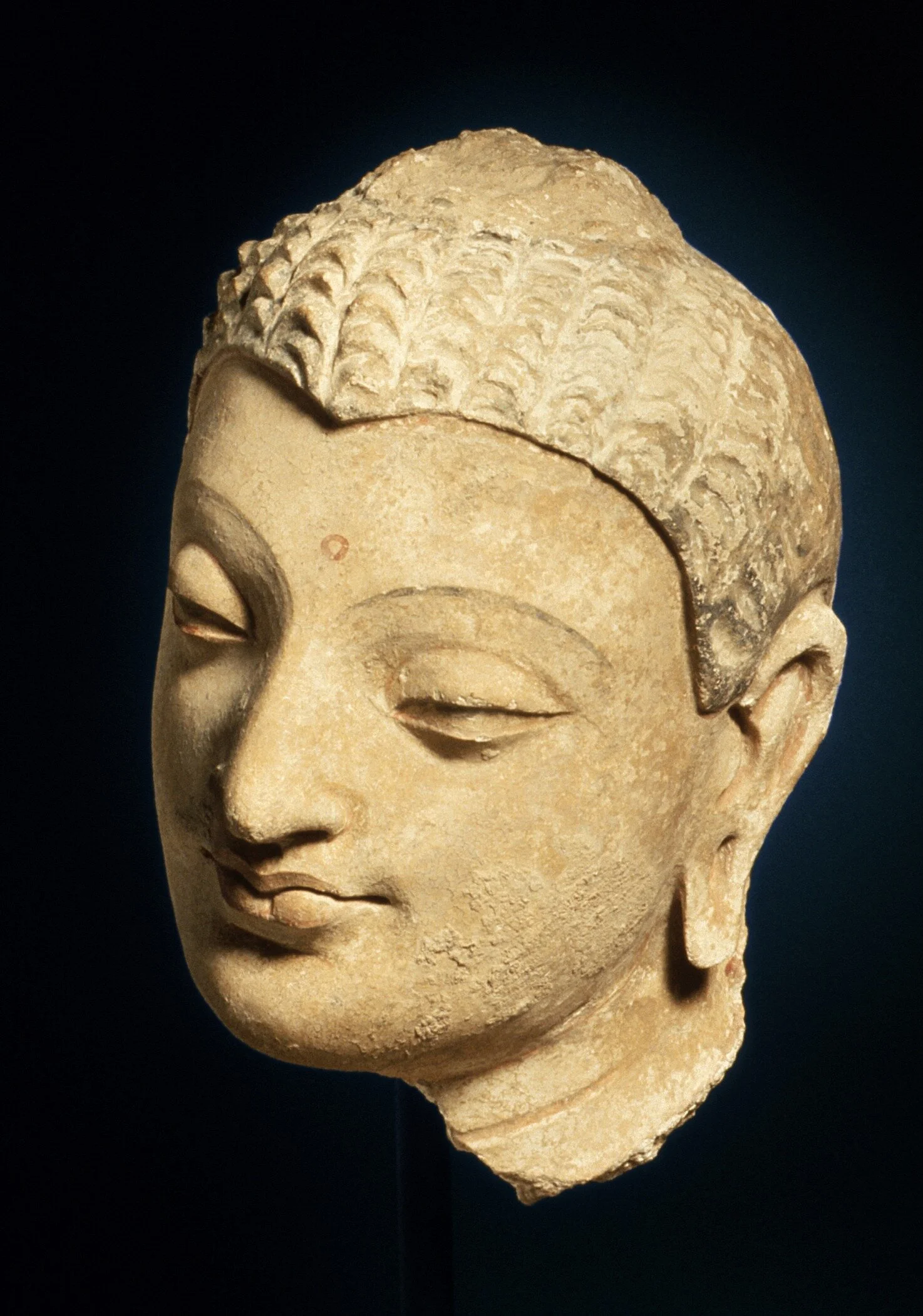 Glava Bude iz obdobja starodavne budistične Gandare, 4—5. stoletje. Foto: Museum Associates/LACMA 