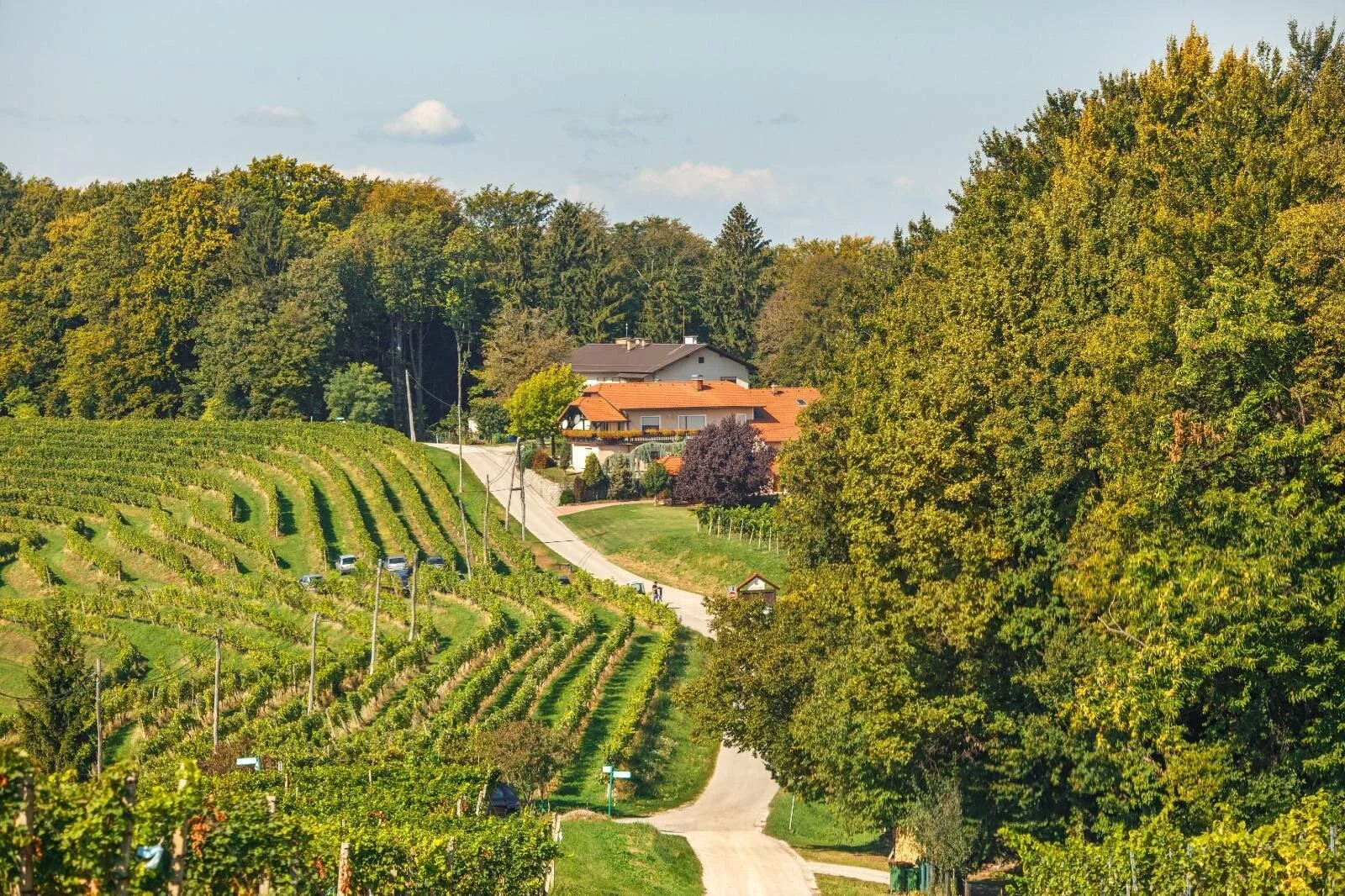  Pogled na naselje Hrastovec. Foto: Matej Povše 