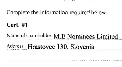  Naslov nekdanjega župana Mirana Vuka v obrazcu za ustanovitev podjetja Powerlight Investments na Britanskih Deviških otokih.  Vir: Pandorini dokumenti 