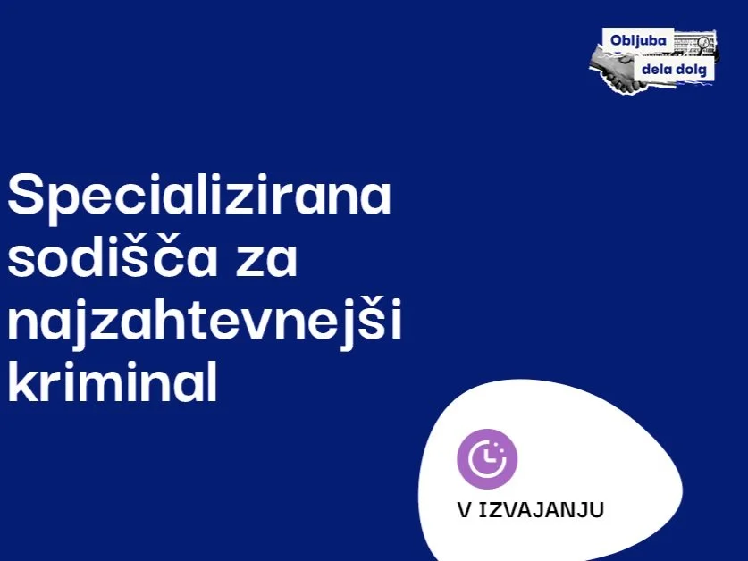Ministrstvo načrtuje ustanovitev specializiranega sodišča