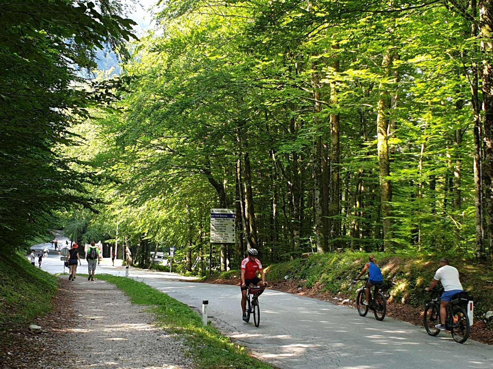  Slovenska turistična organizacija si za trajnostni razvoj turizma in njegovo promocijo prizadeva s podeljevanjem certifikata Slovenia Green domačim destinacijam in turističnim obratom. Foto: Tinkara Zupan/STA 