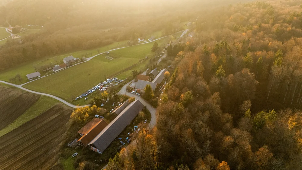 Copy of 11_MP_008.JPG