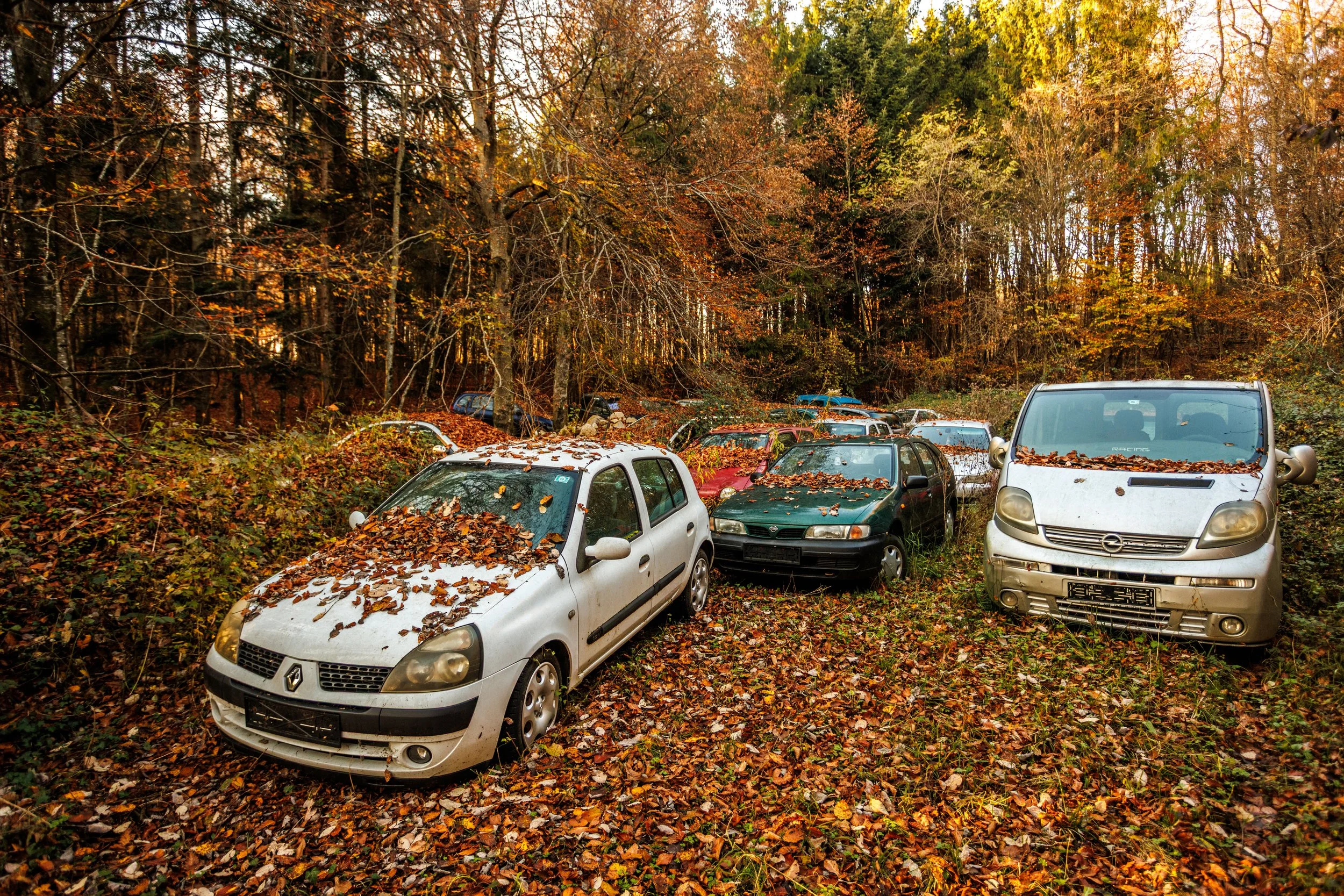 Copy of 11_MP_014.JPG