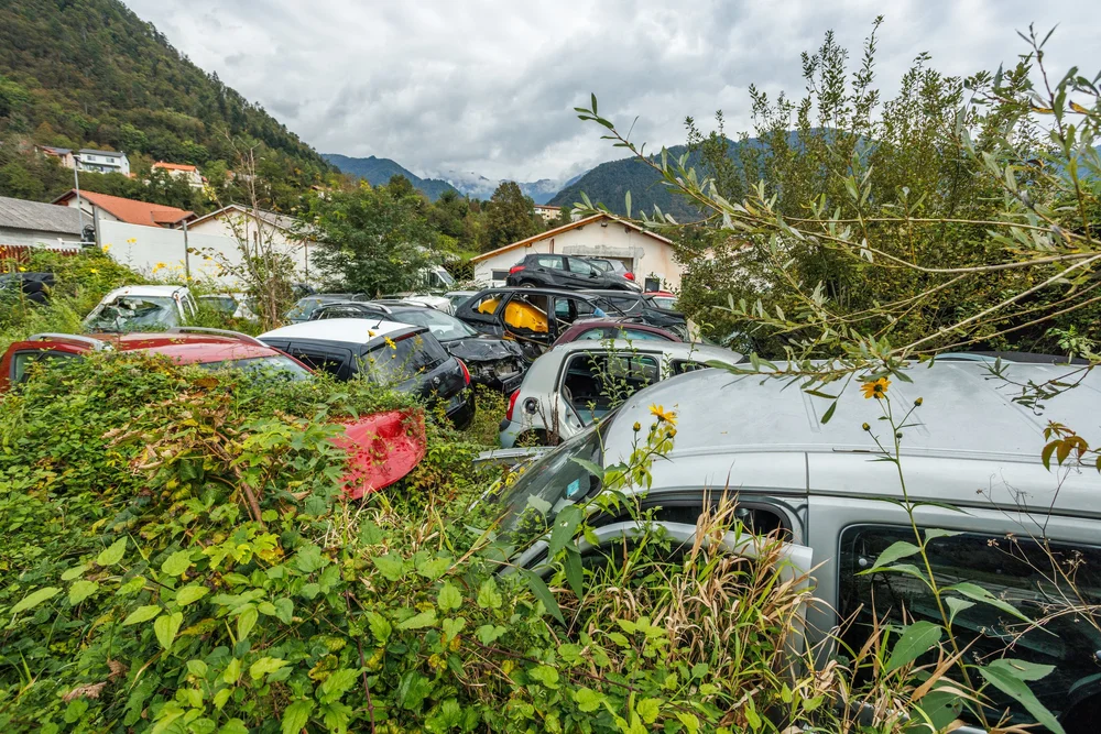 Copy of 1_MP_003_objava.JPG