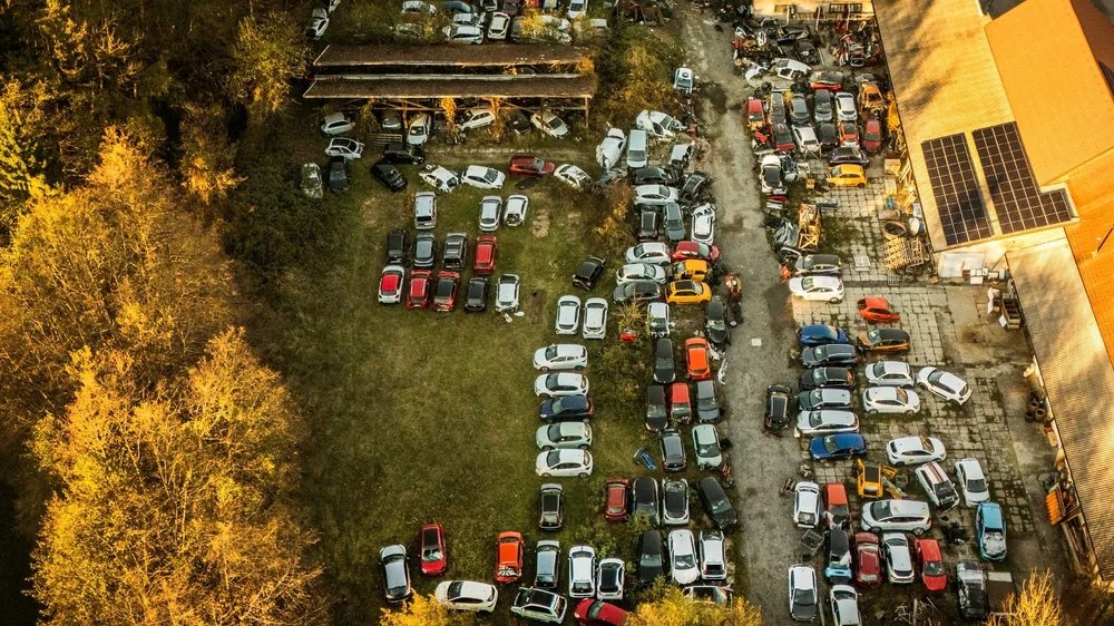 Copy of 104_MP_002.JPG