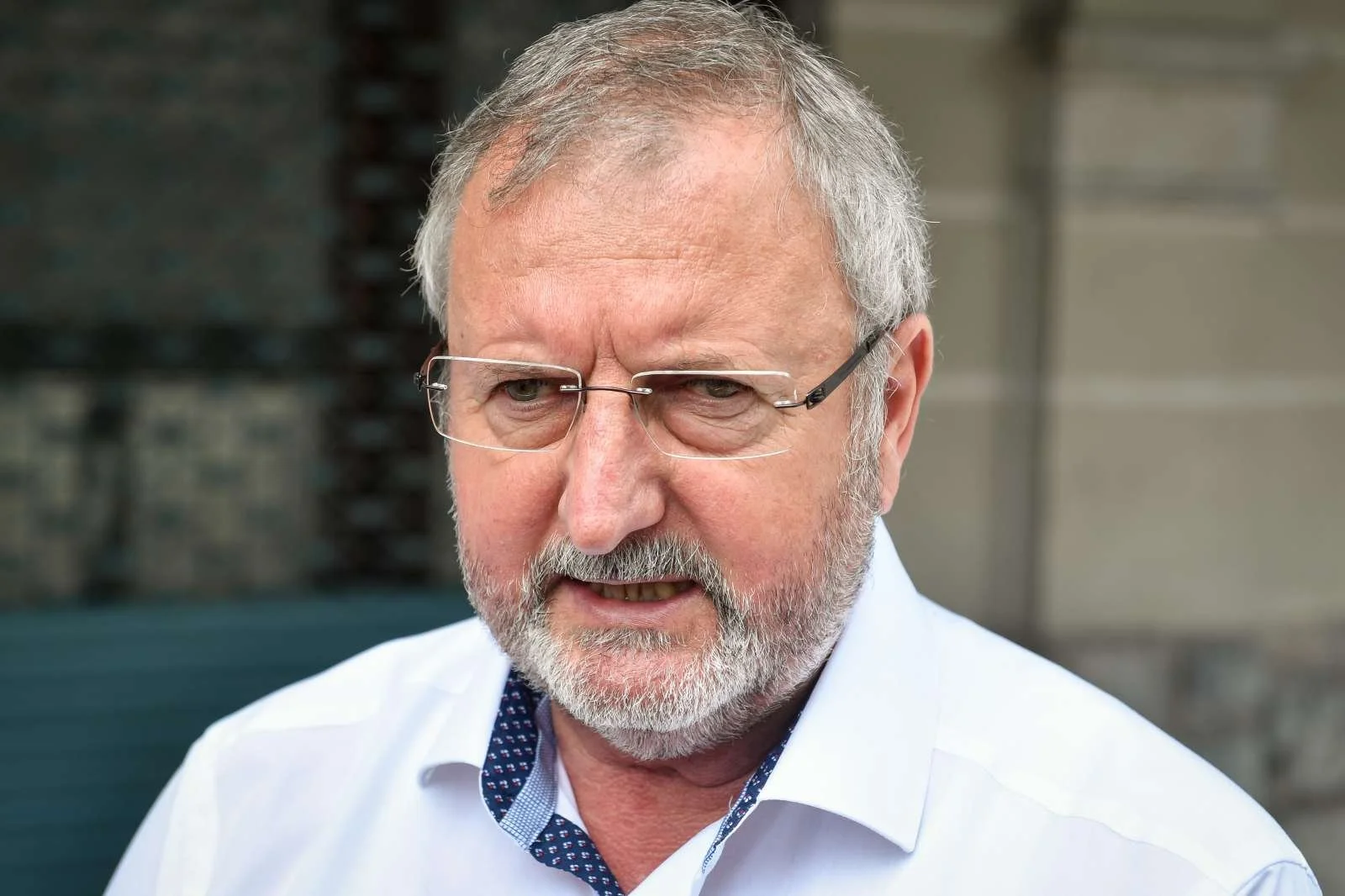  Foto: Nebojša Tejić/STA 