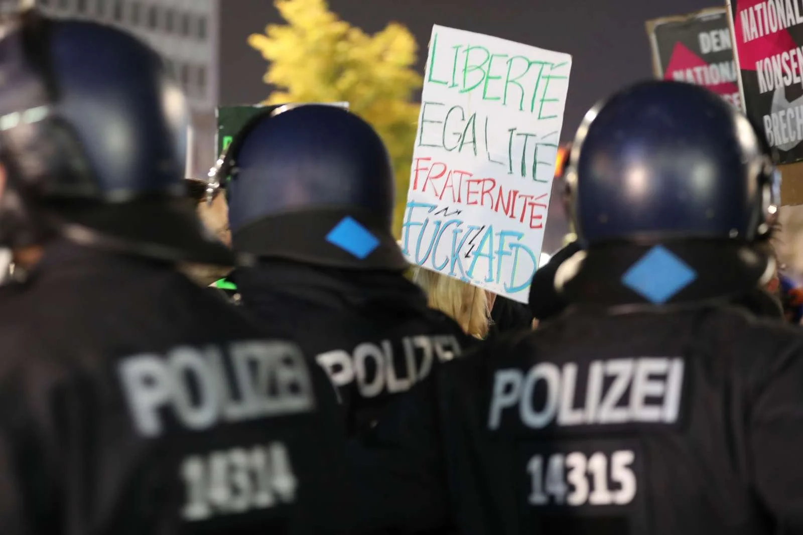  Evropski center za študije populizma neonacizem definira kot pojav, za katerega so značilna militantna, družbena ali politična gibanja, ki si po drugi svetovni vojni prizadevajo oživiti ideologijo nacizma. Foto: DPA/STA 