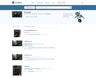  Rezultati analize s spletnim orodjem TinEye. Vir: posnetek zaslona 