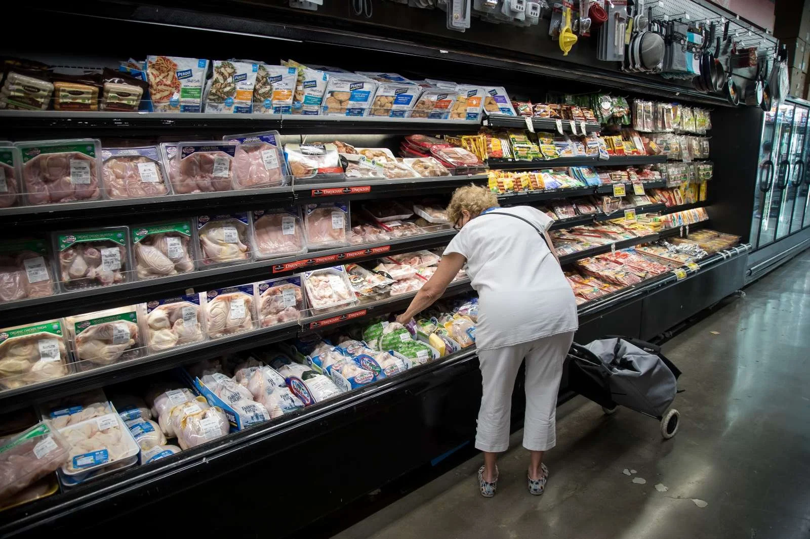  Profesorica na ljubljanski ekonomski fakulteti Irena Ograjenšek je pojasnila, da bi morali za preverjanje trditve o 30-odstotnem znižanju realne plače vedeti, na katero obdobje se nanaša. Foto: Xinhua/STA 