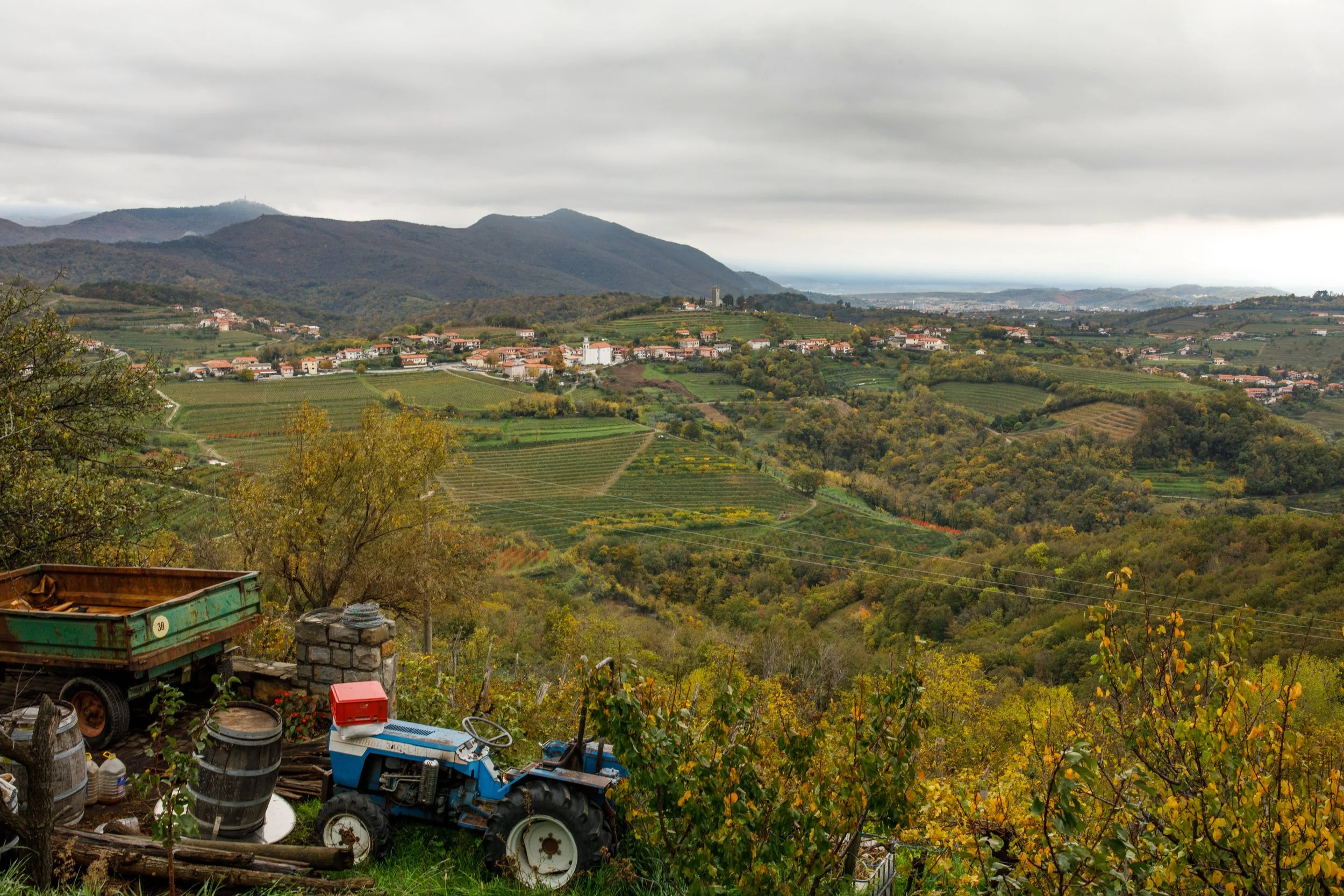  Goriška Brda. Foto: Matej Povše 
