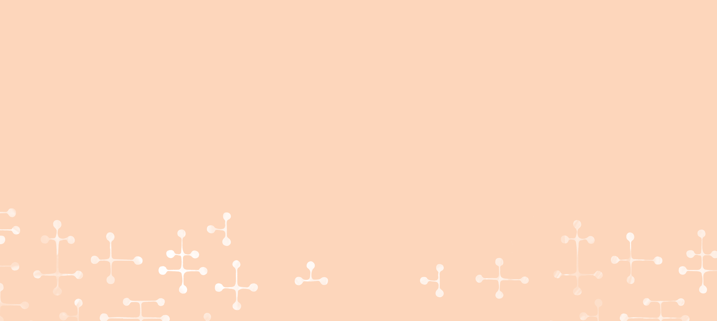 0PRR_WEBSITE.png