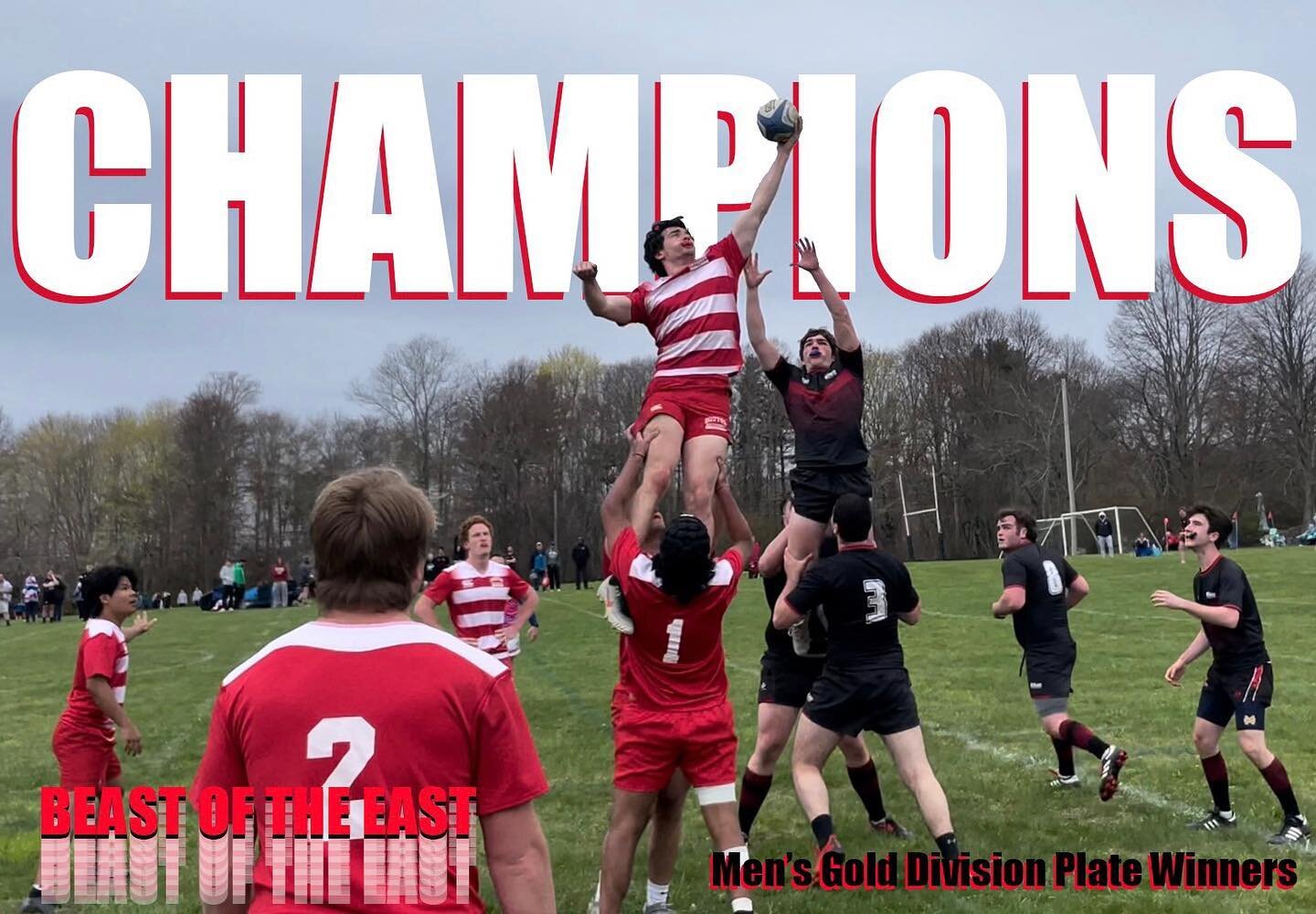 Men&rsquo;s Gold Division Plate Champions